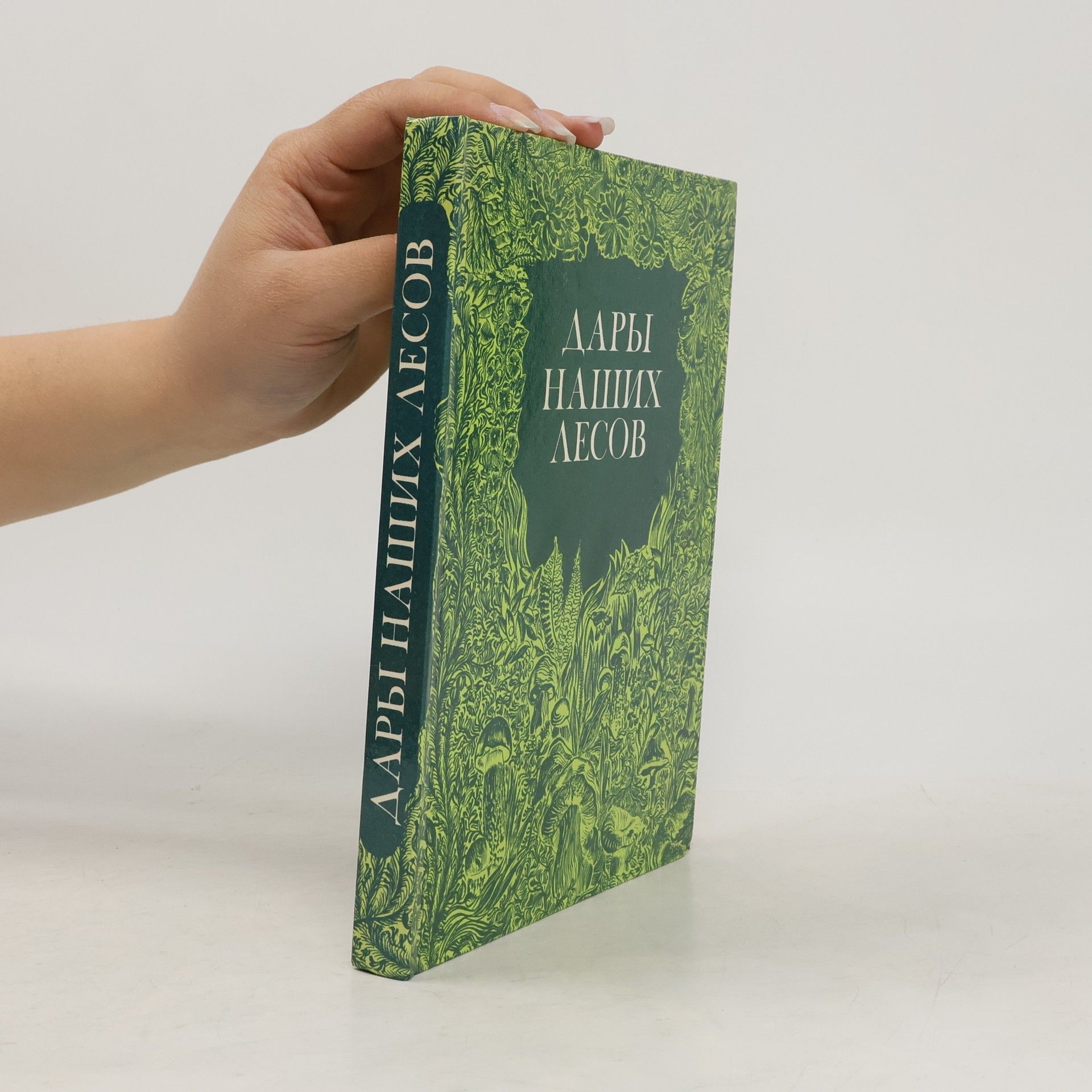 Василий Иосифович Саутин Дары наших лесов