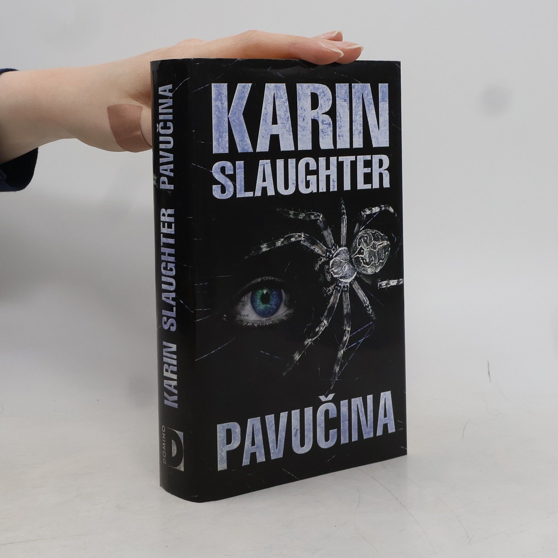 Karin Slaughter Pavučina