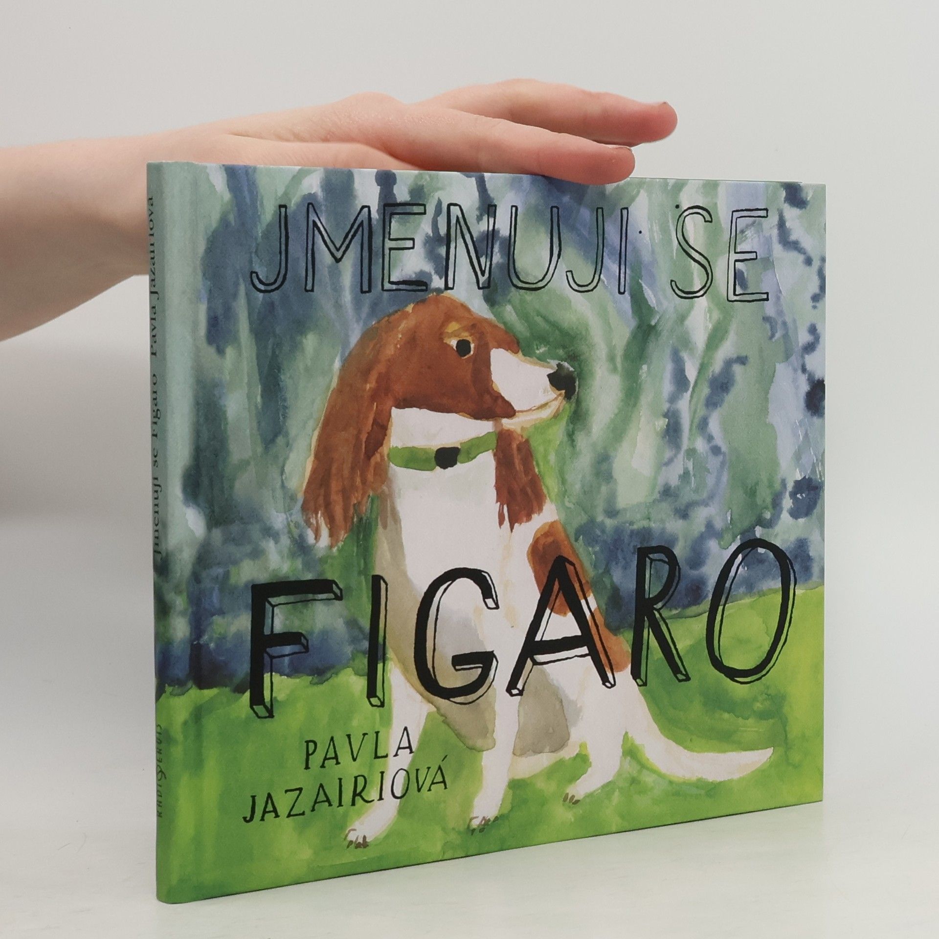 Pavla Jazairiová Jmenuji se Figaro