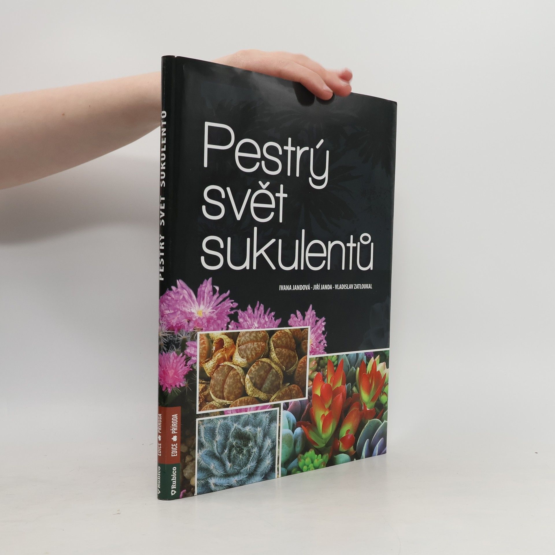 Pestrý svět sukulentů