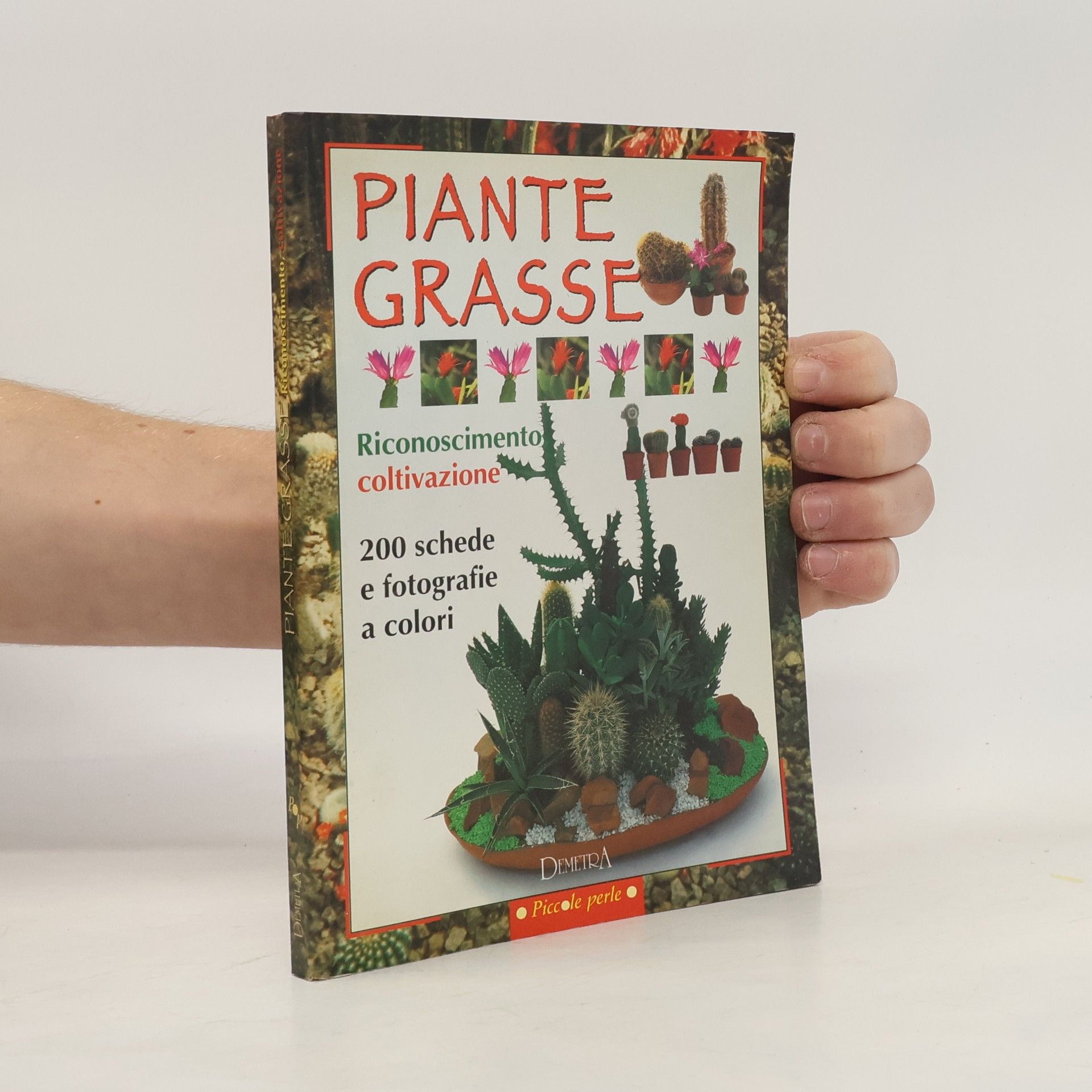 Various authors Piante grasse