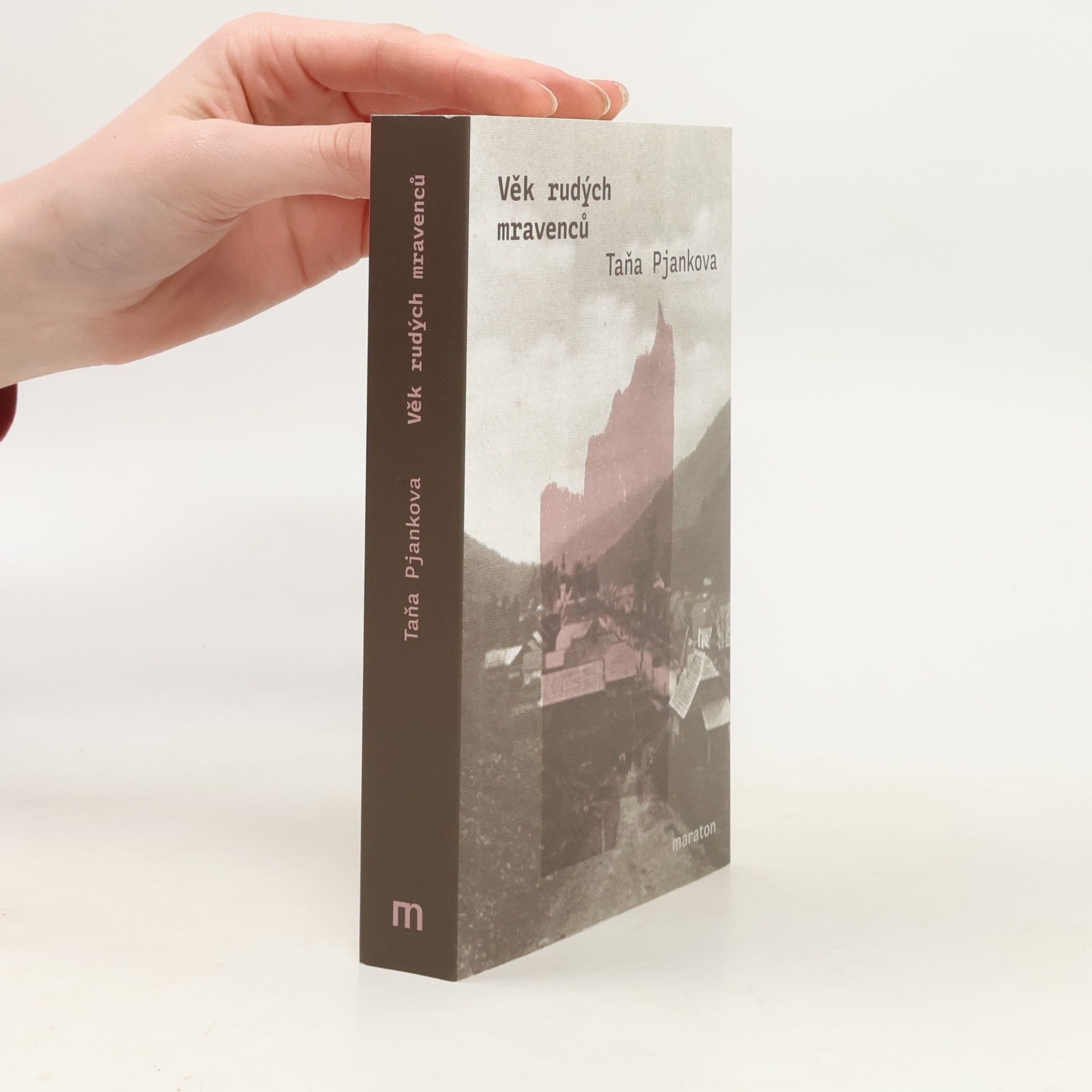 Taňa Pjankova Věk rudých mravenců