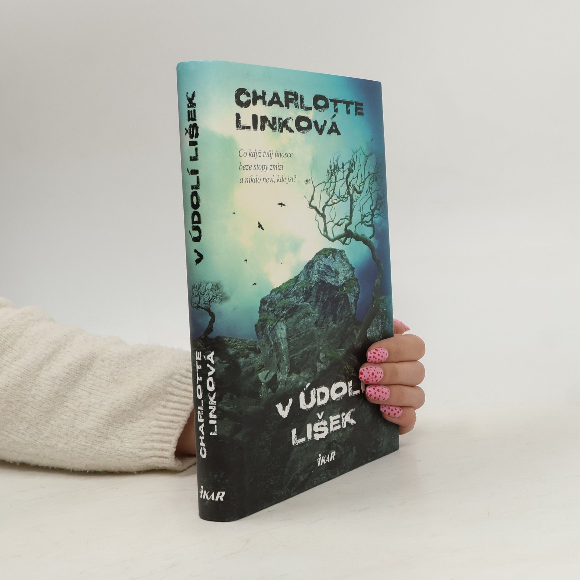 Charlotte Link V údolí lišek