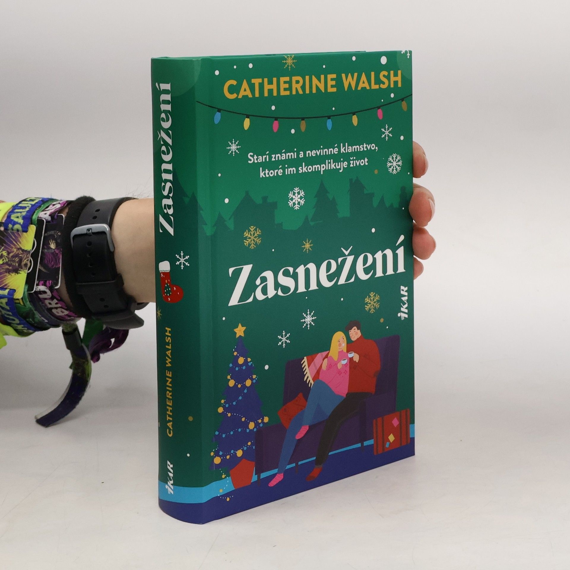 Zasnežení