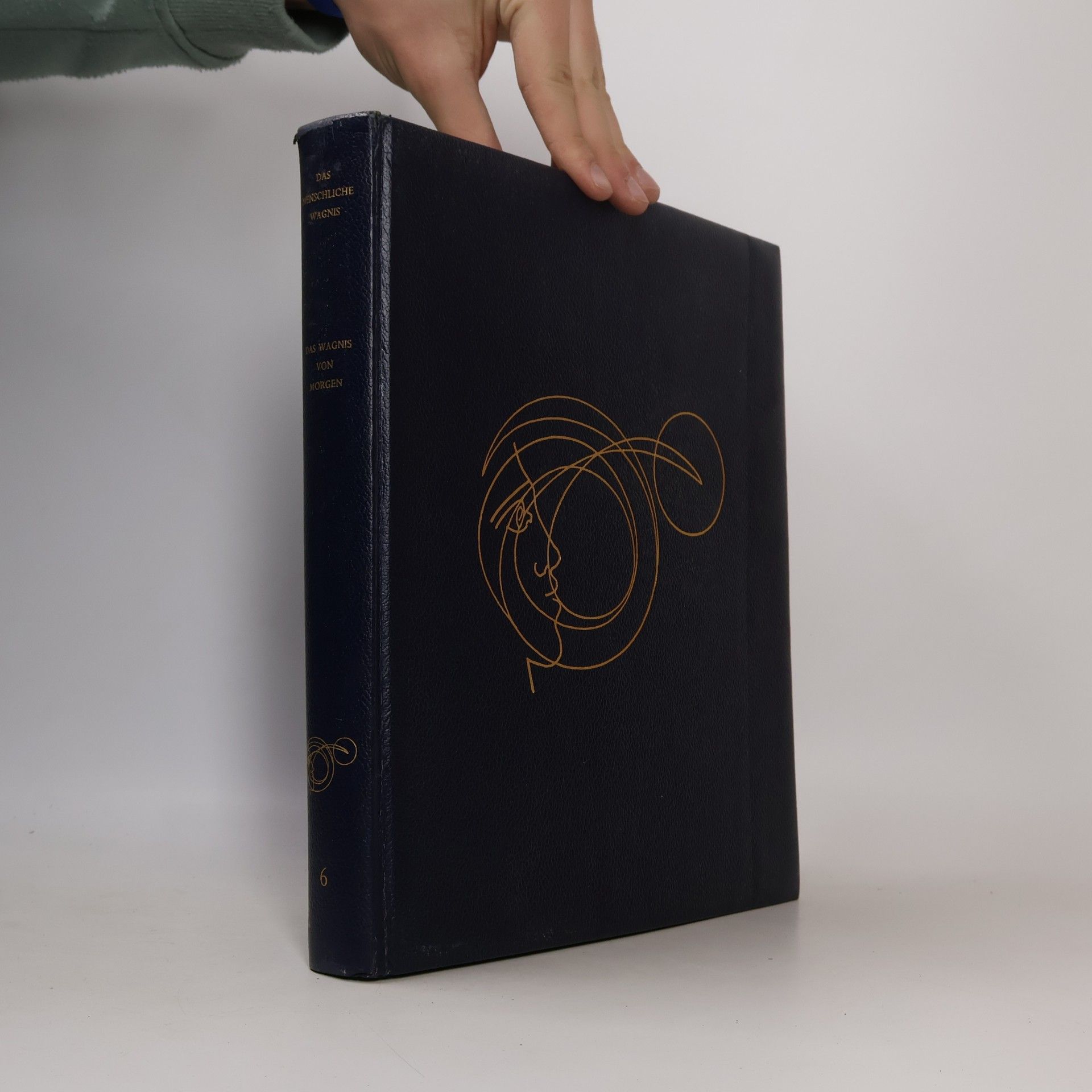 Kolektív autorov Das Menschliche Wagnis. Das Wagnis von Morgen