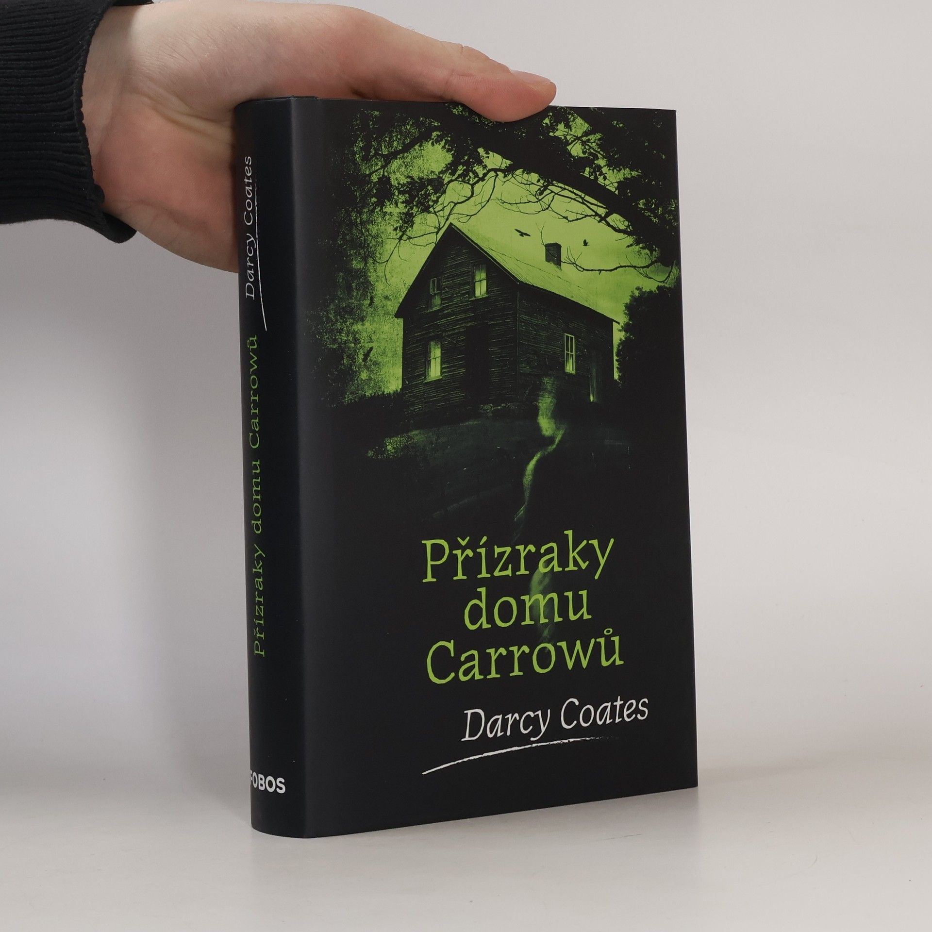 Darcy Coates Přízraky domu Carrowů