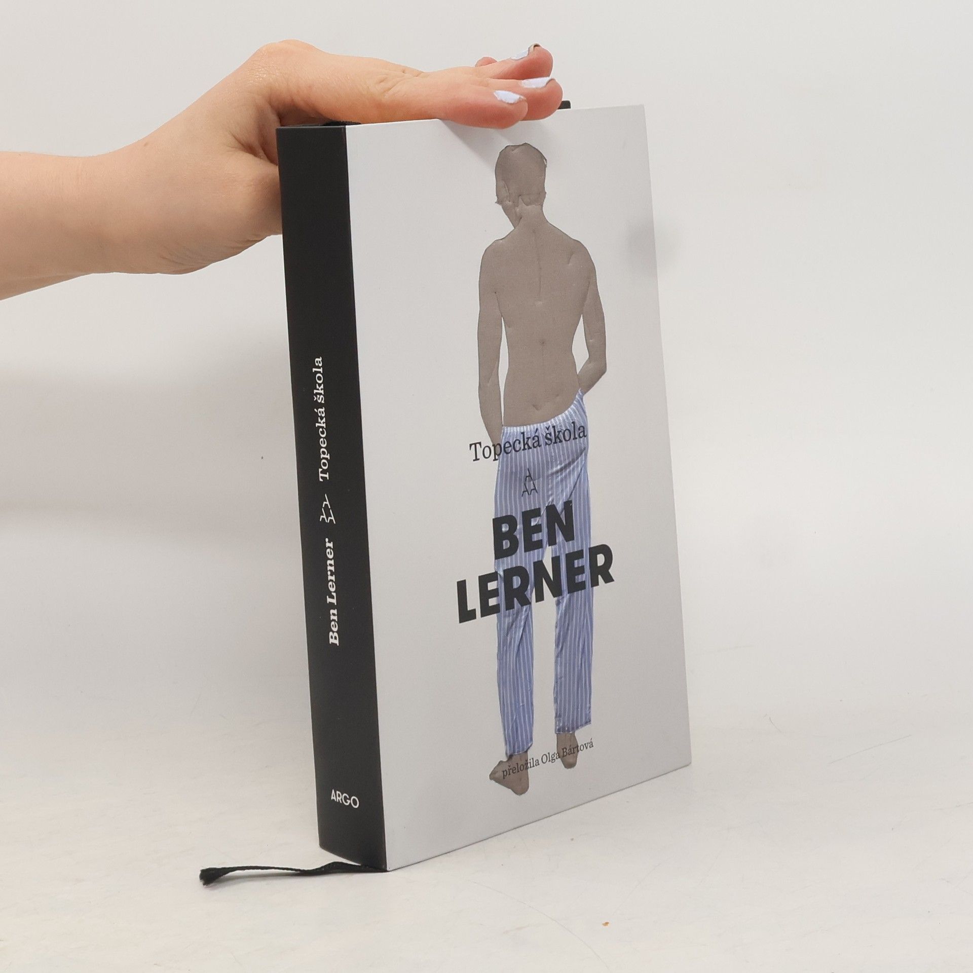 Ben Lerner Topecká škola