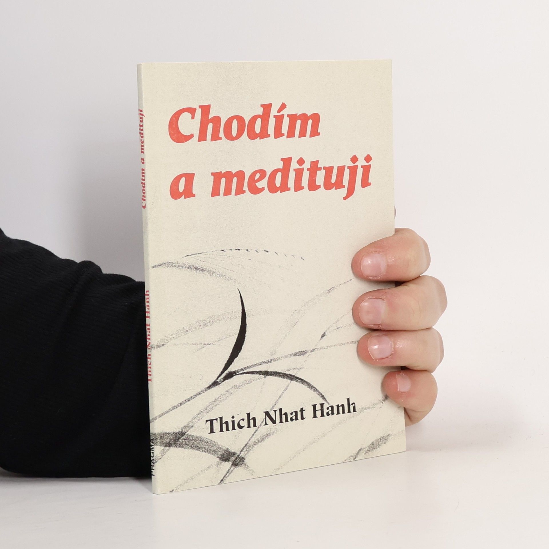Thich Nhat Hanh Chodím a medituji