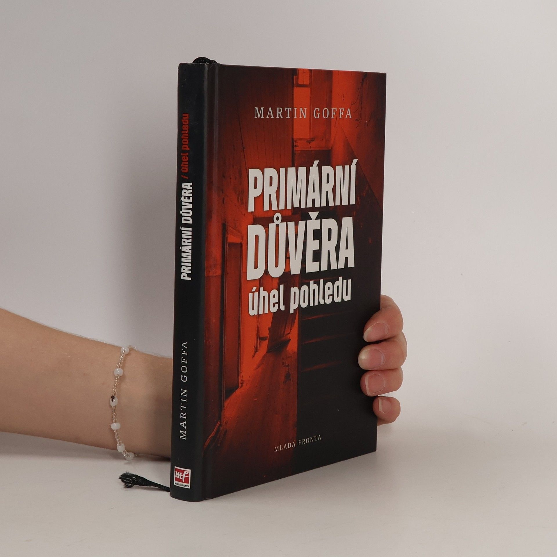 Martin Goffa Primární důvěra - úhel pohledu