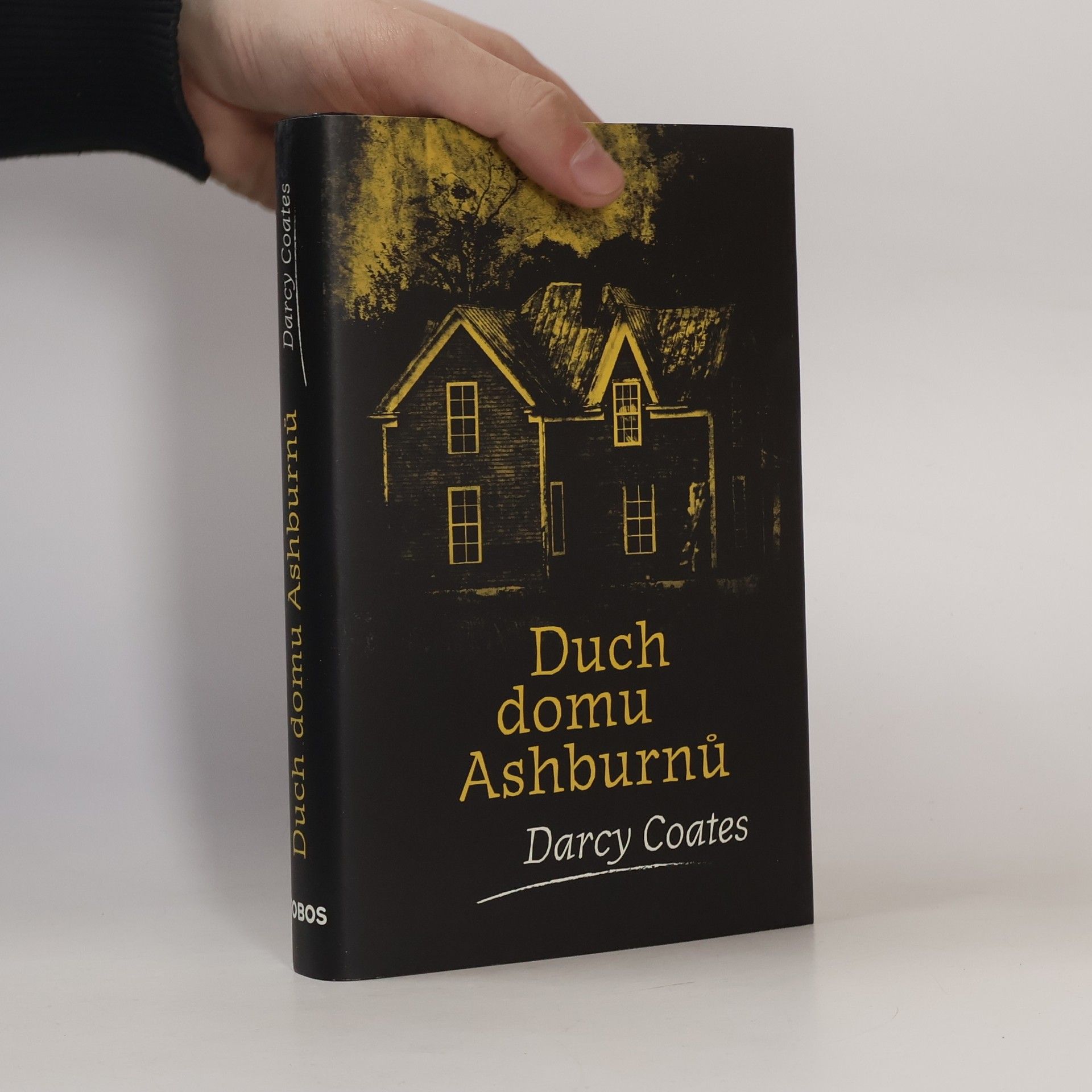 Darcy Coates Duch domu Ashburnů
