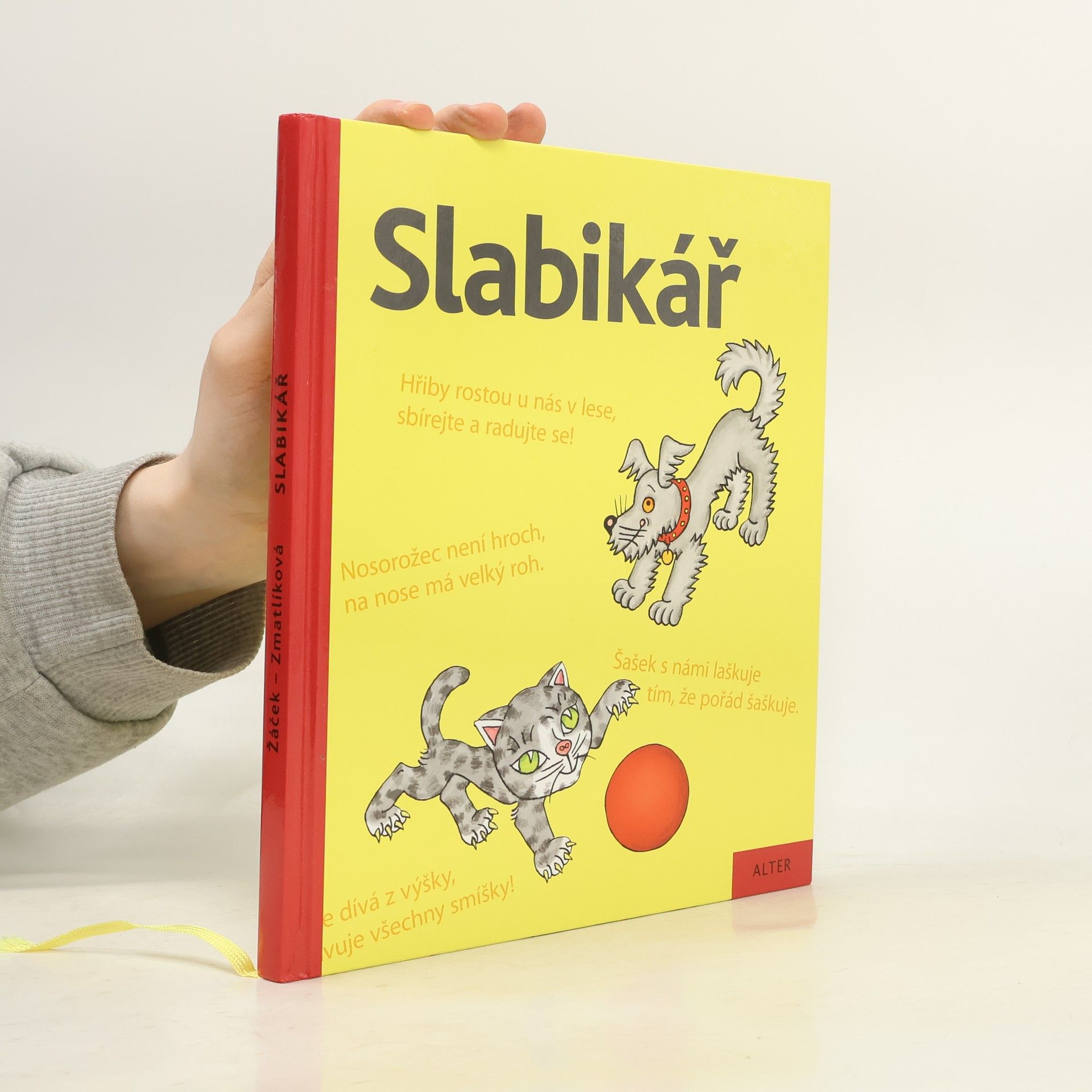 Jiří Žáček Slabikář : učebnice pro vzdělávací obor Český jazyk a literatura