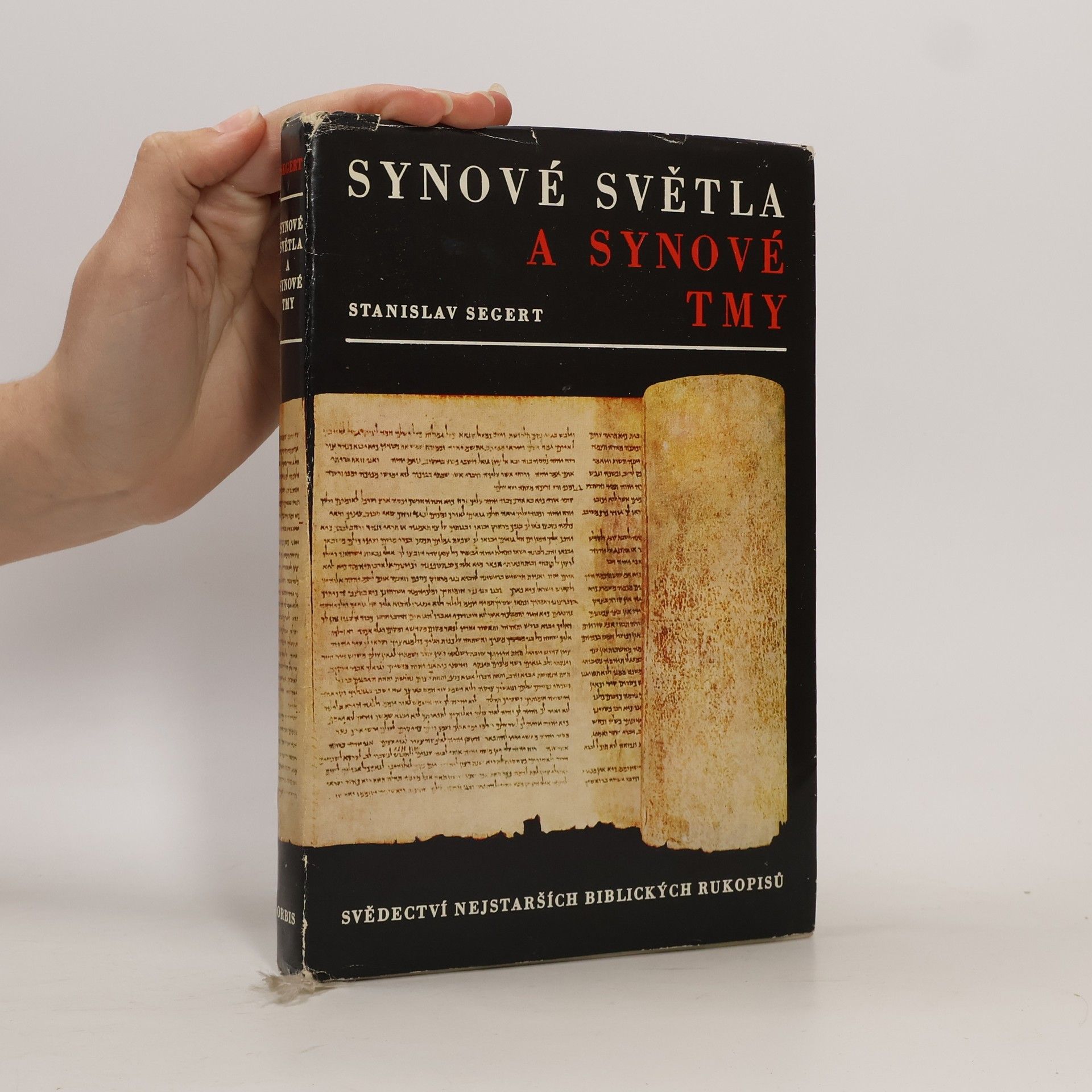 Synové světla a synové tmy