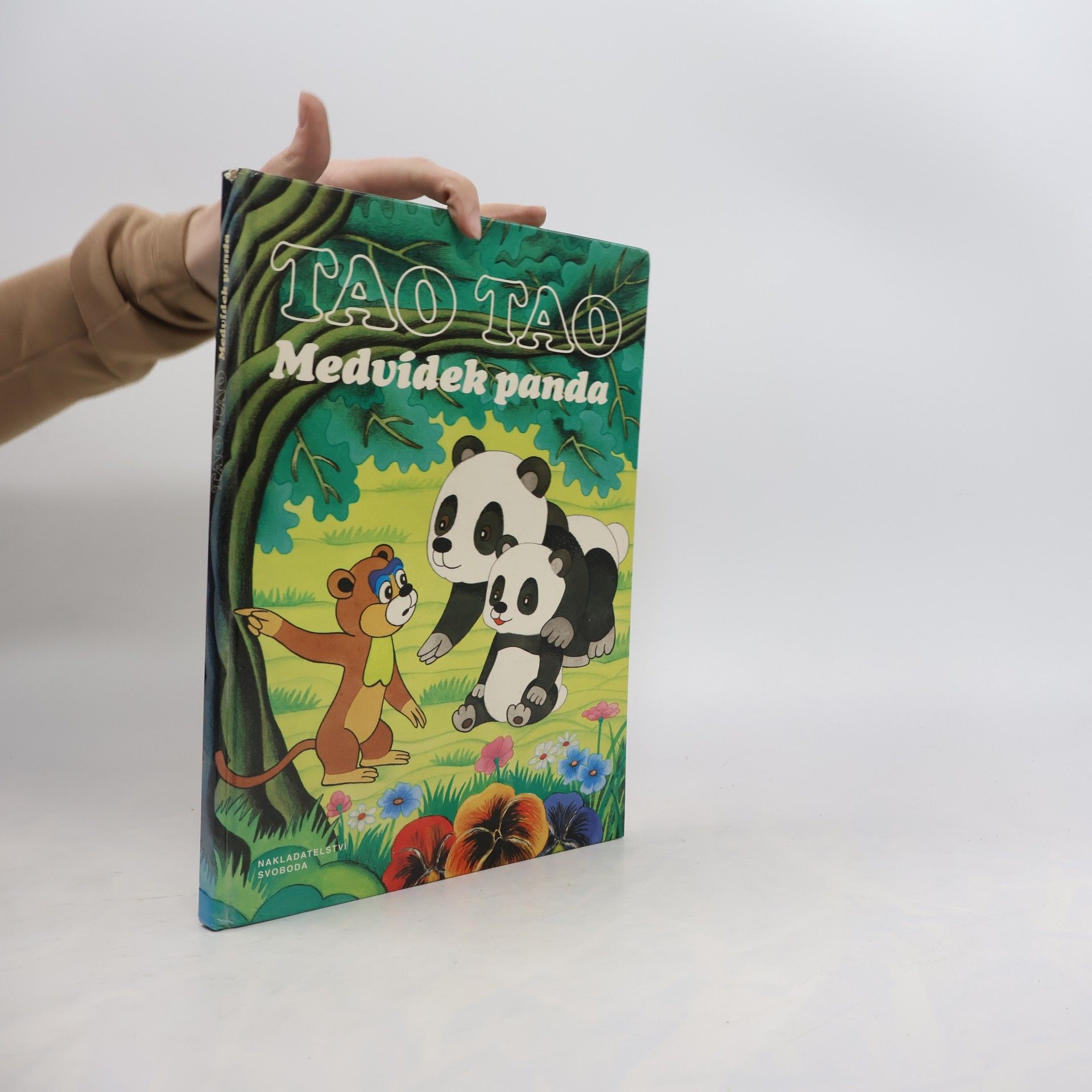 Auteurscollectief Tao Tao. Medvídek panda