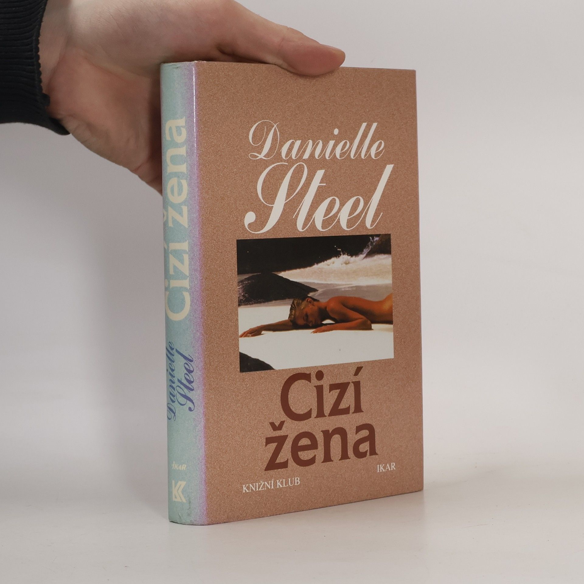 Danielle Steel Cizí žena