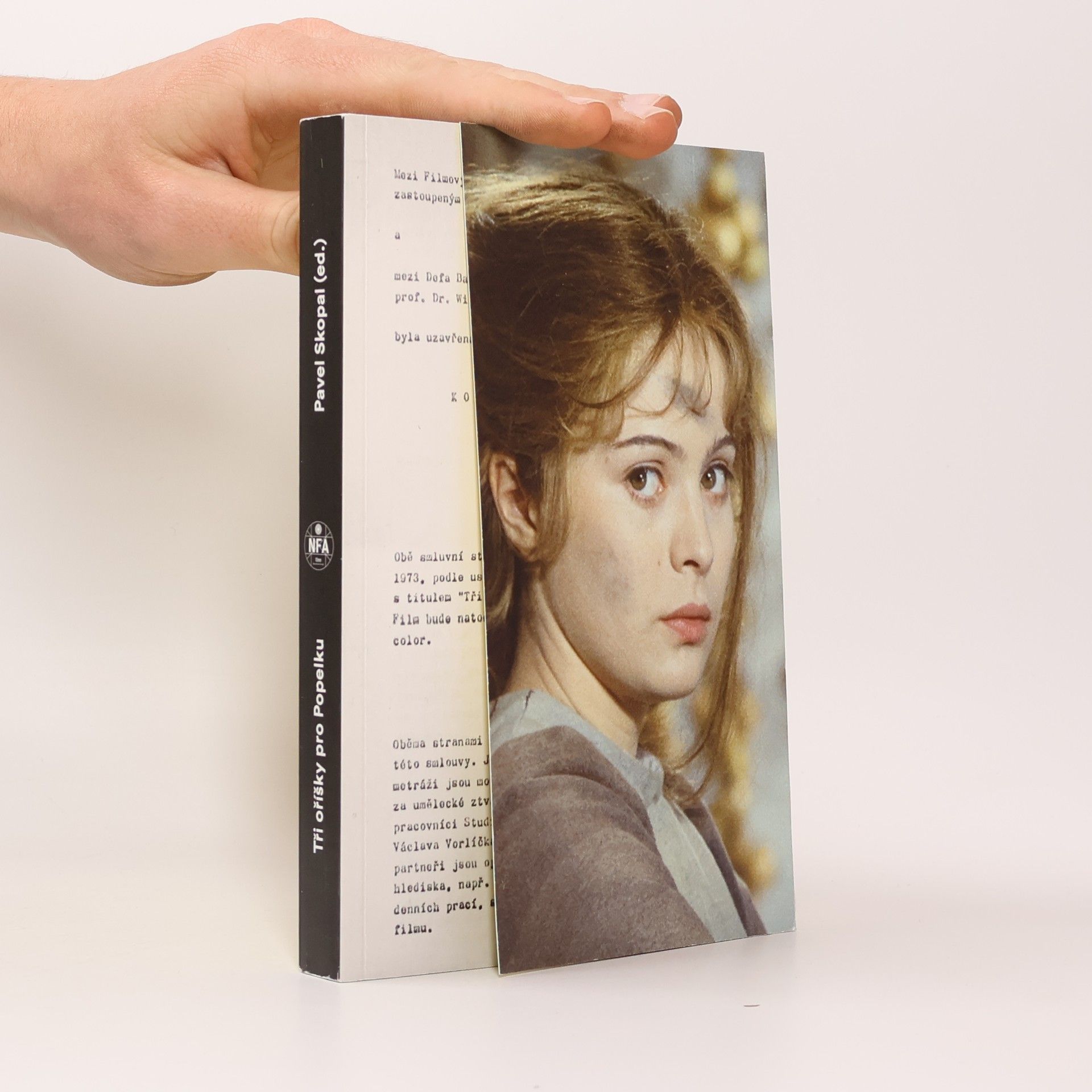 Pavel Skopal Tři oříšky pro Popelku