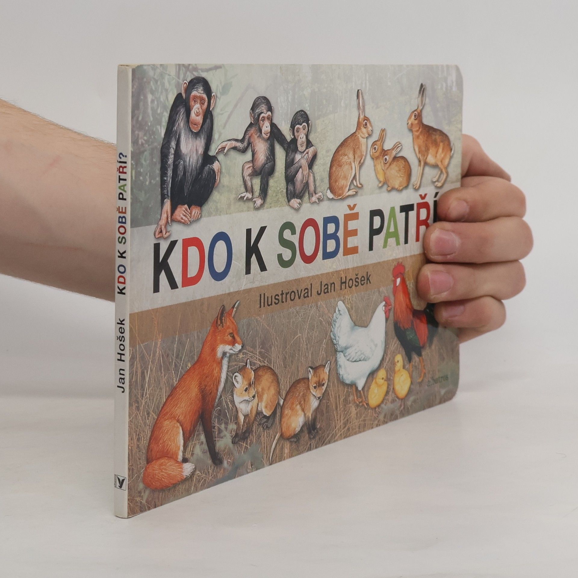 Kdo k sobě patří?