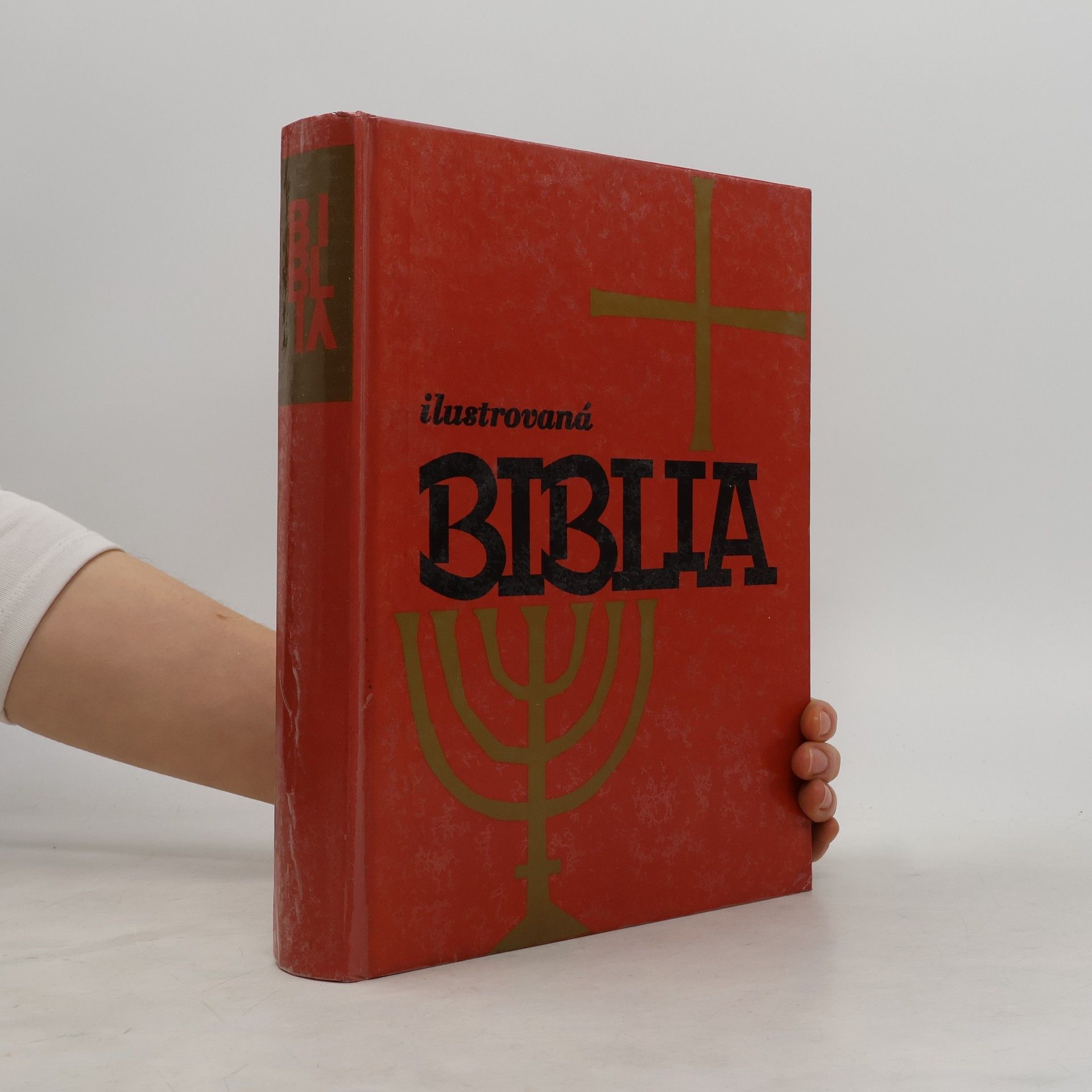 Auteurscollectief Ilustrovaná biblia : Výber statí s farebnými obrázkami