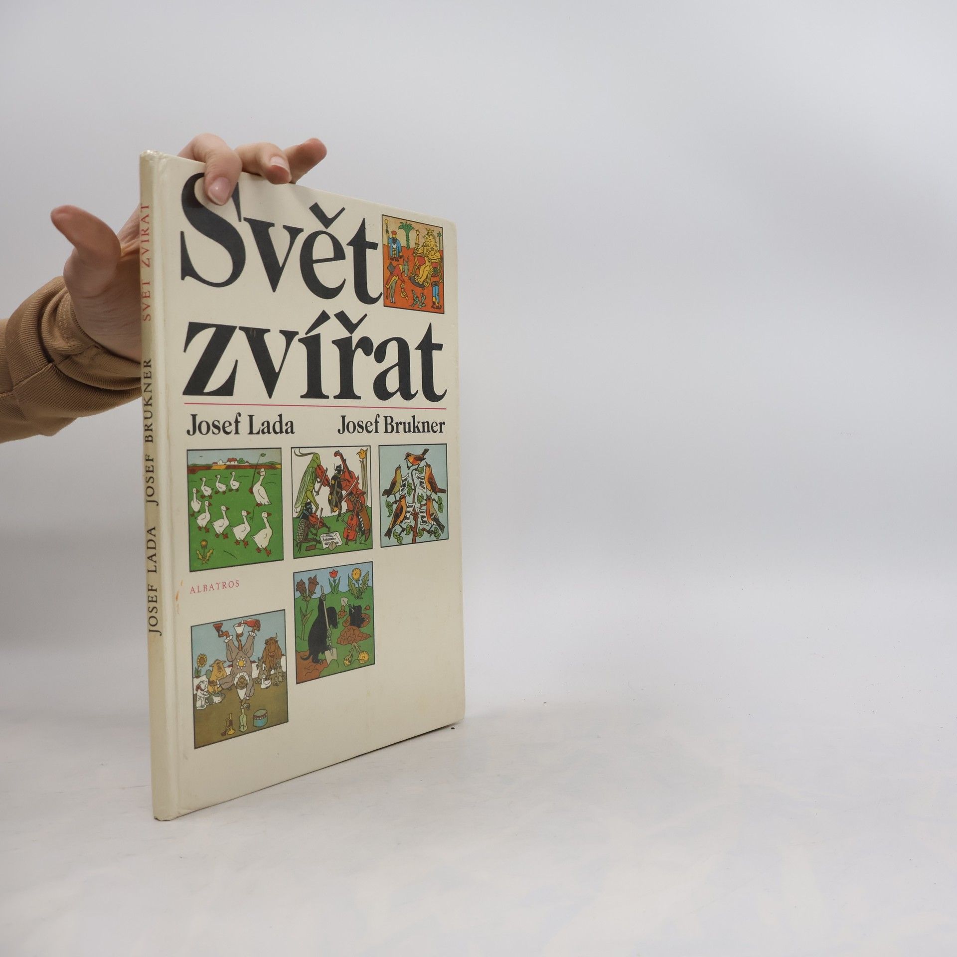 Svět zvířat