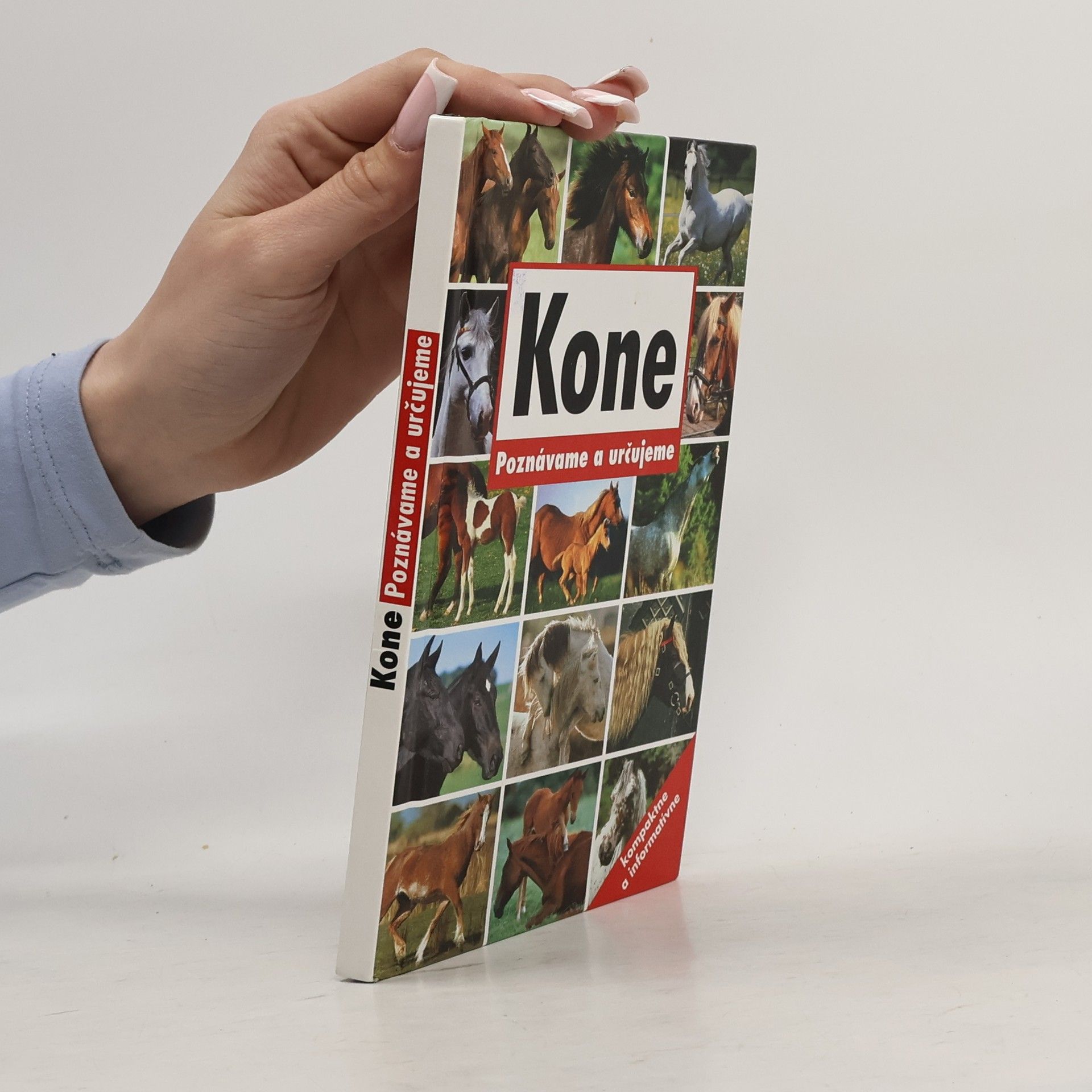 Autores varios Kone. Poznávame a určujeme