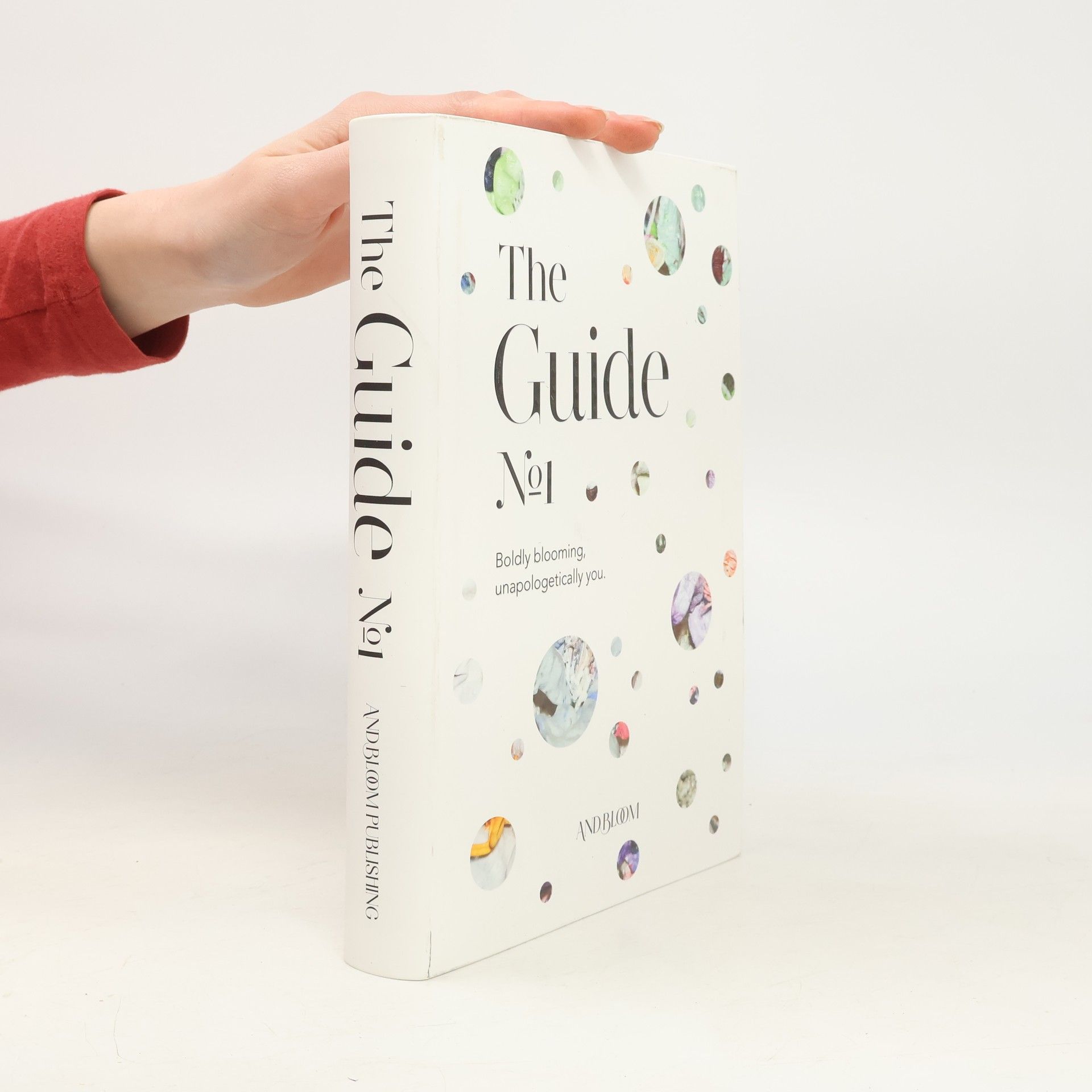 Denise Boomkens The Guide No1