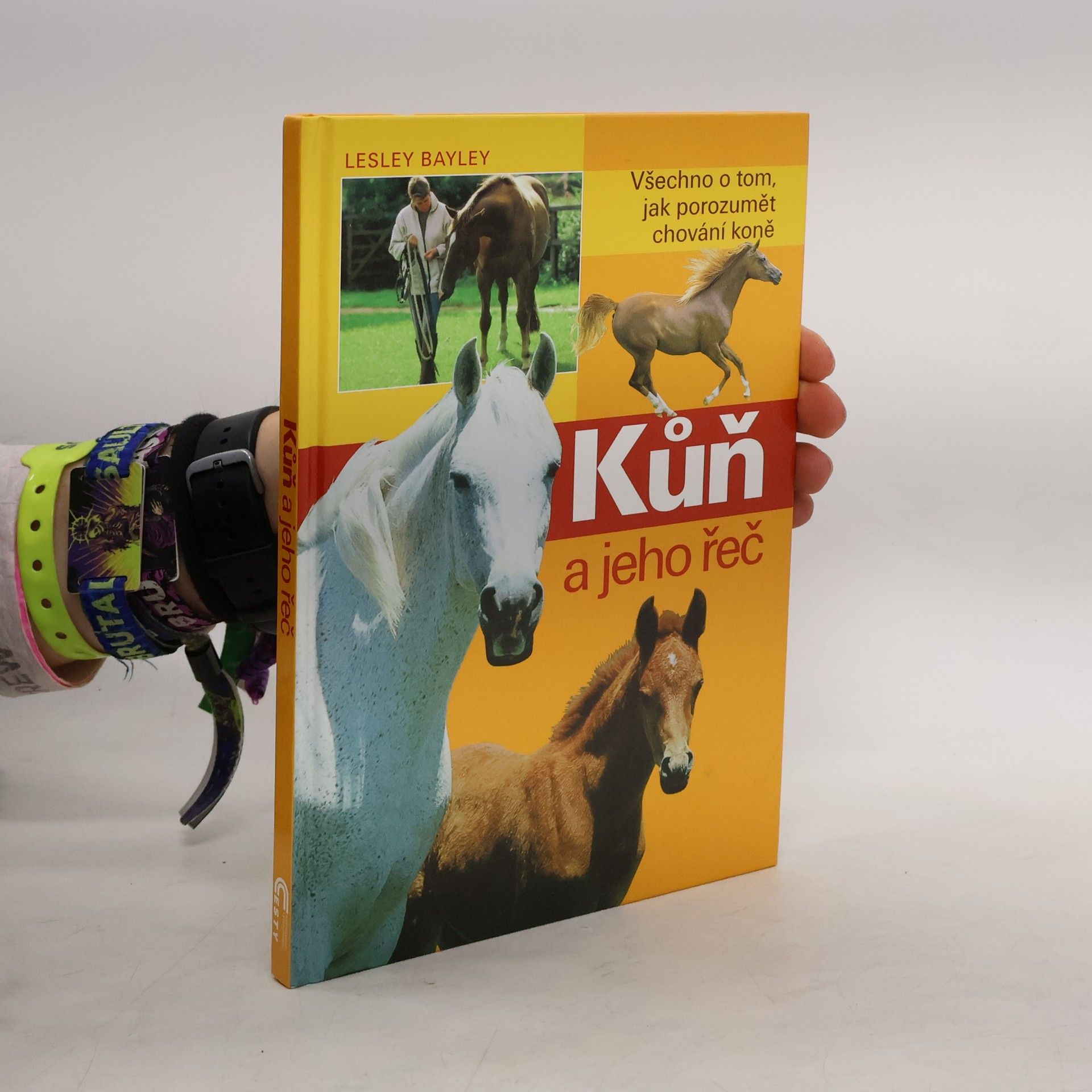 Lesley Bayley Kůň a jeho řeč