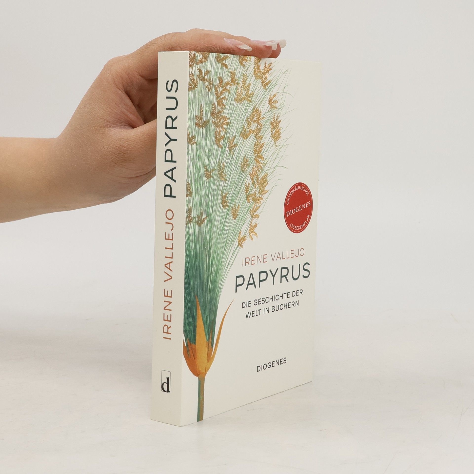 Irene Vallejo Papyrus