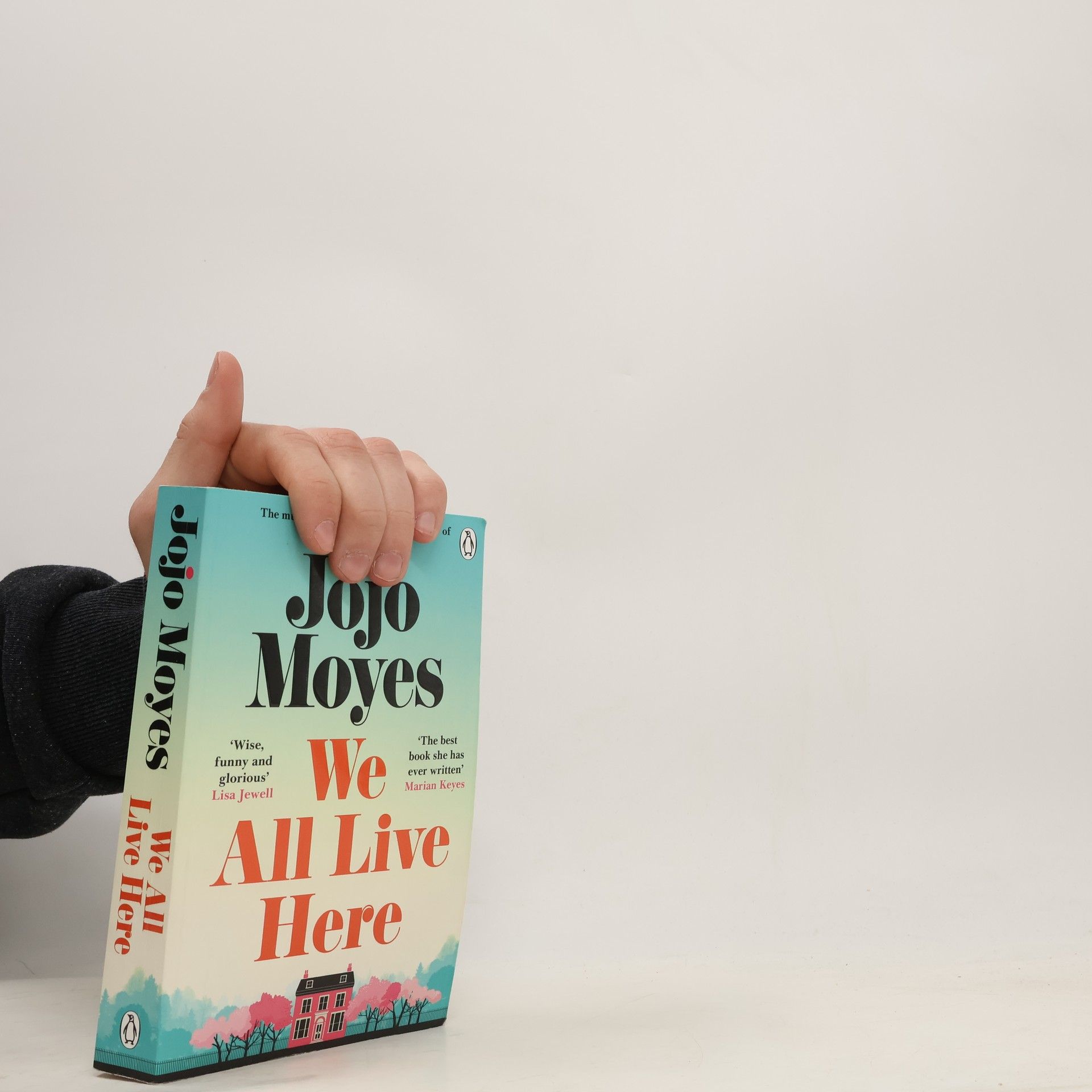 Jojo Moyes We All Live Here