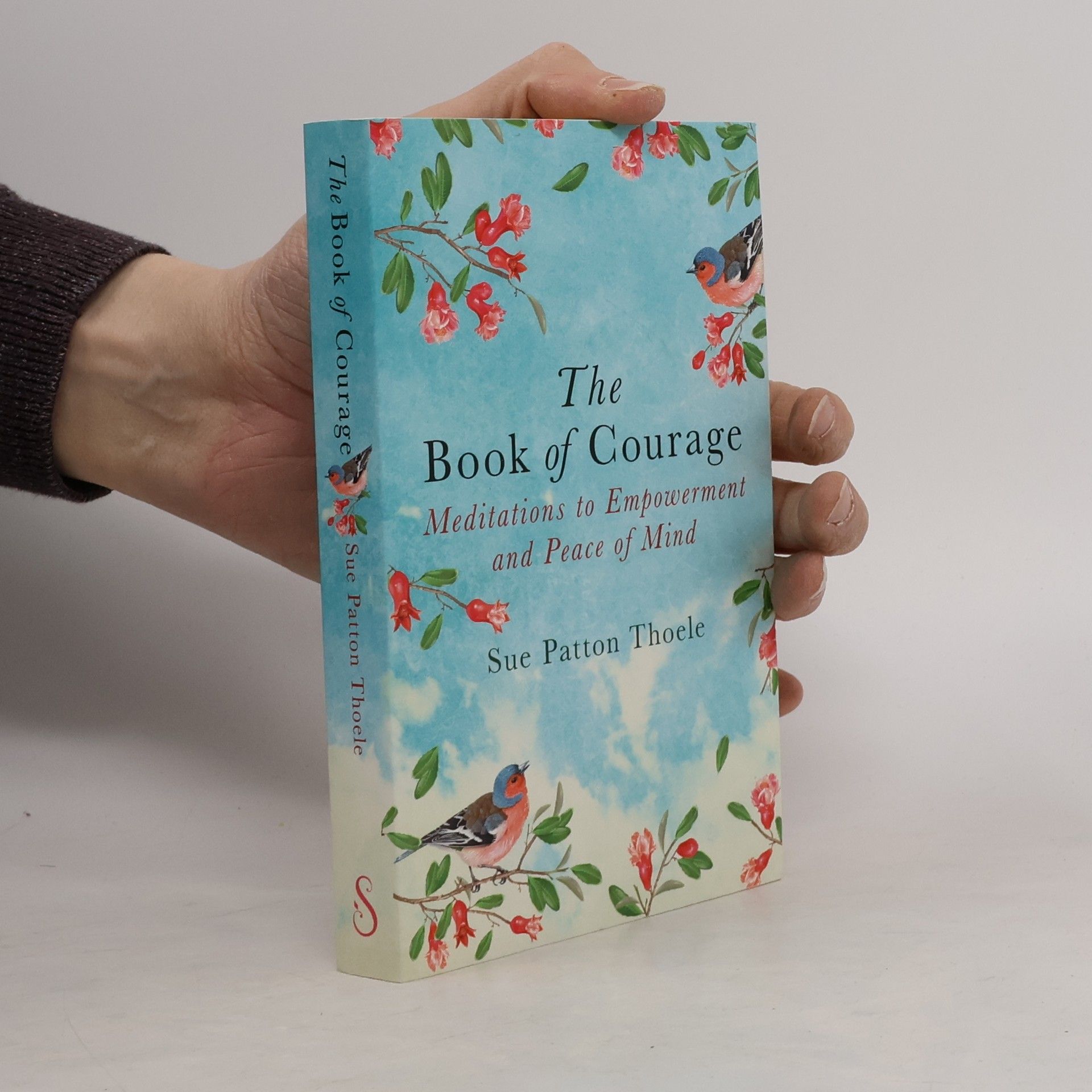 Sue Patton Thoele The Book of Courage