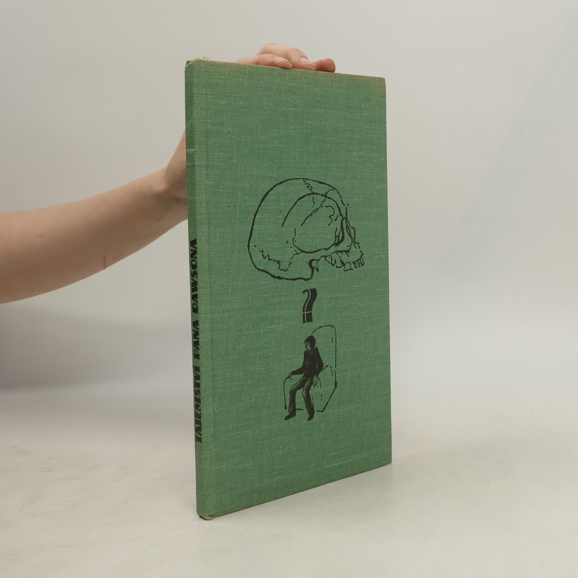 Radek Beneš Tajemství pana Dawsona