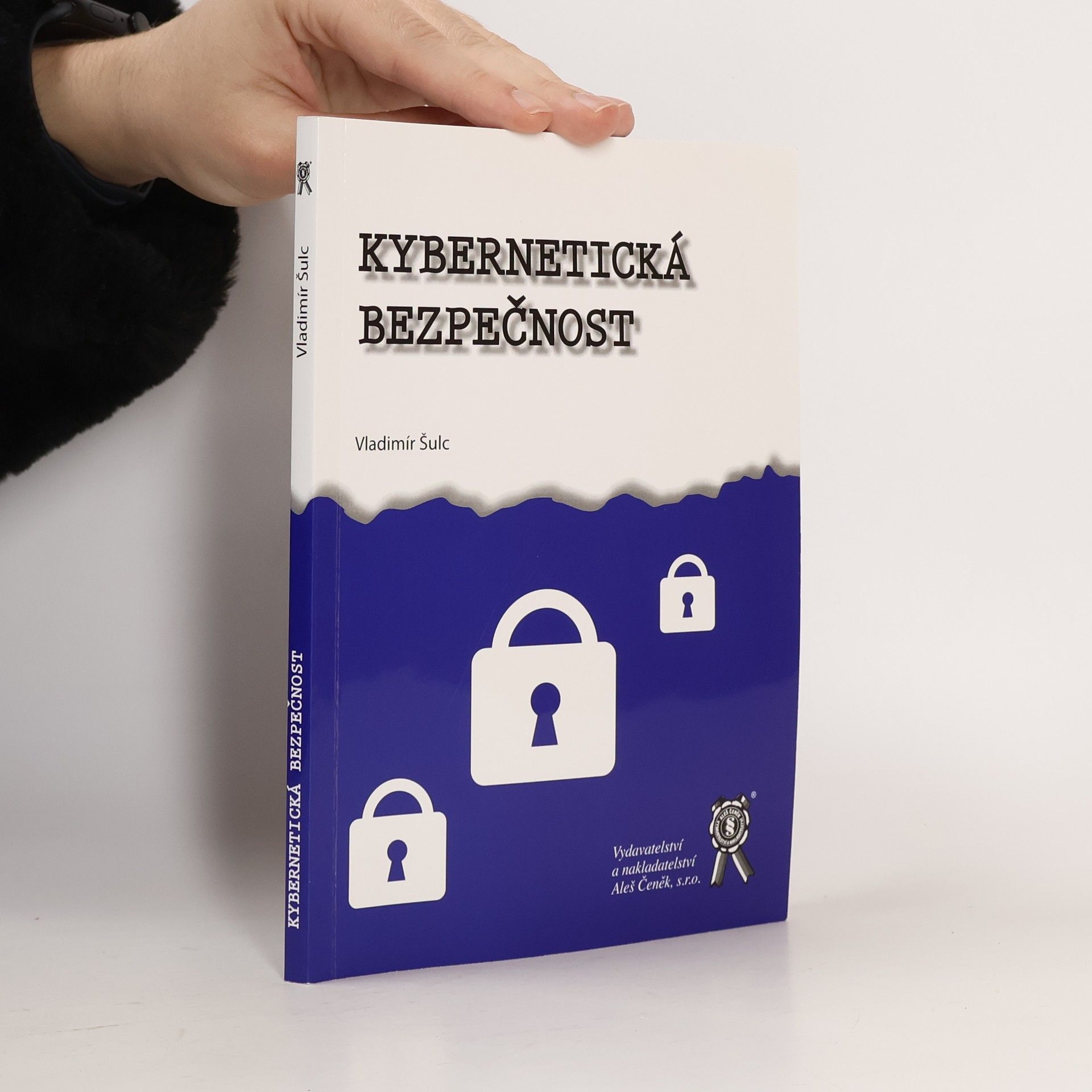 Vladimír Šulc Kybernetická bezpečnost
