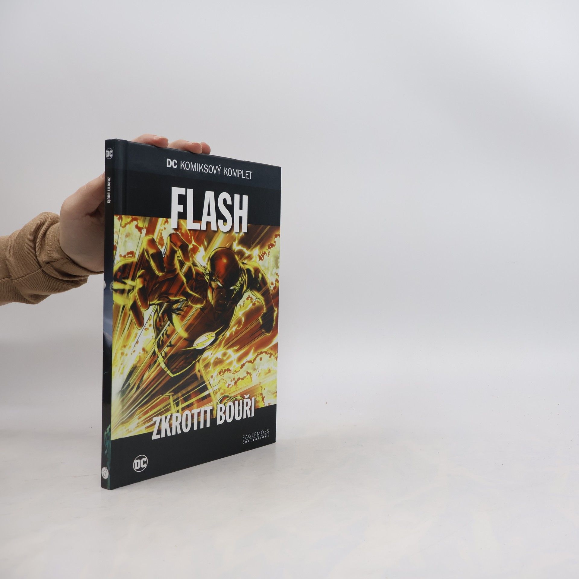 Danny Bilson Flash. Zkrotit bouři