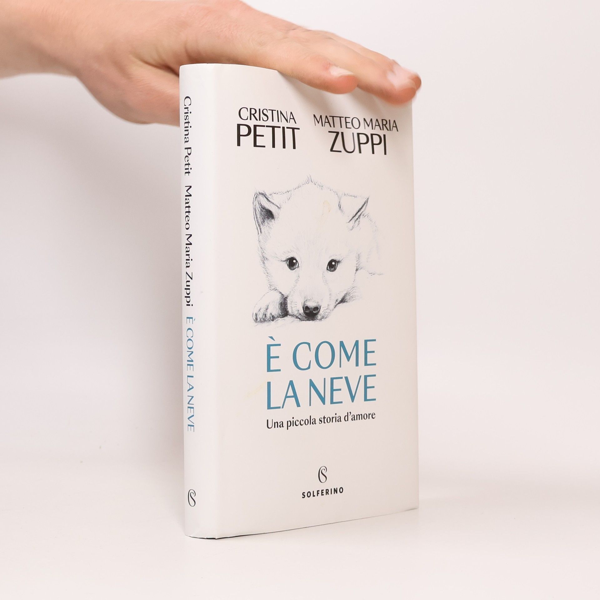 Matteo Maria Zuppi È come la neve