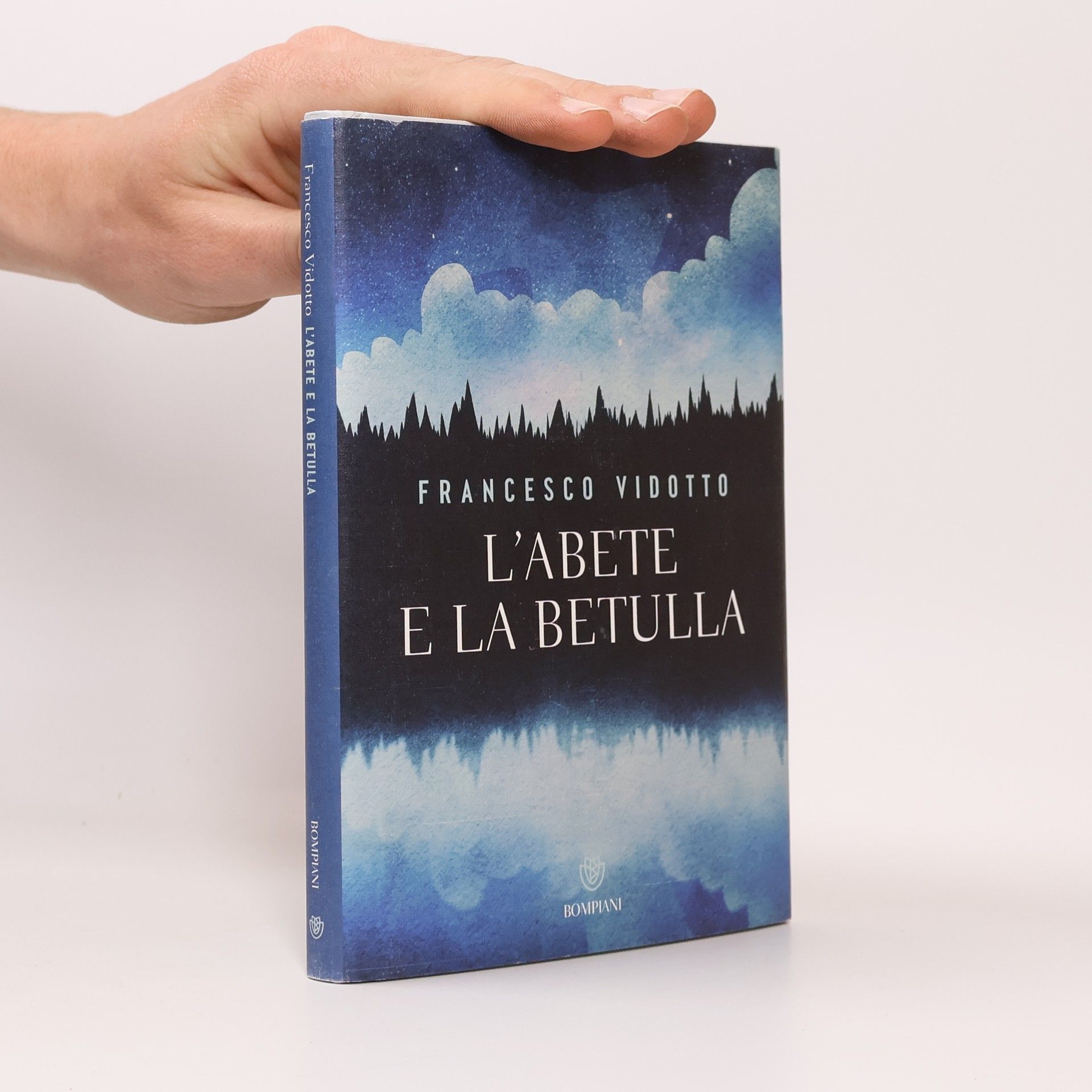 Francesco Vidotto L'abete e la betulla