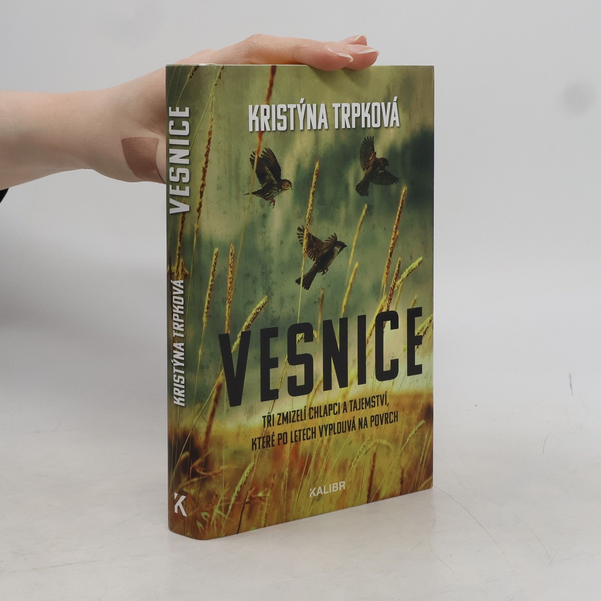 Kristýna Trpková Vesnice