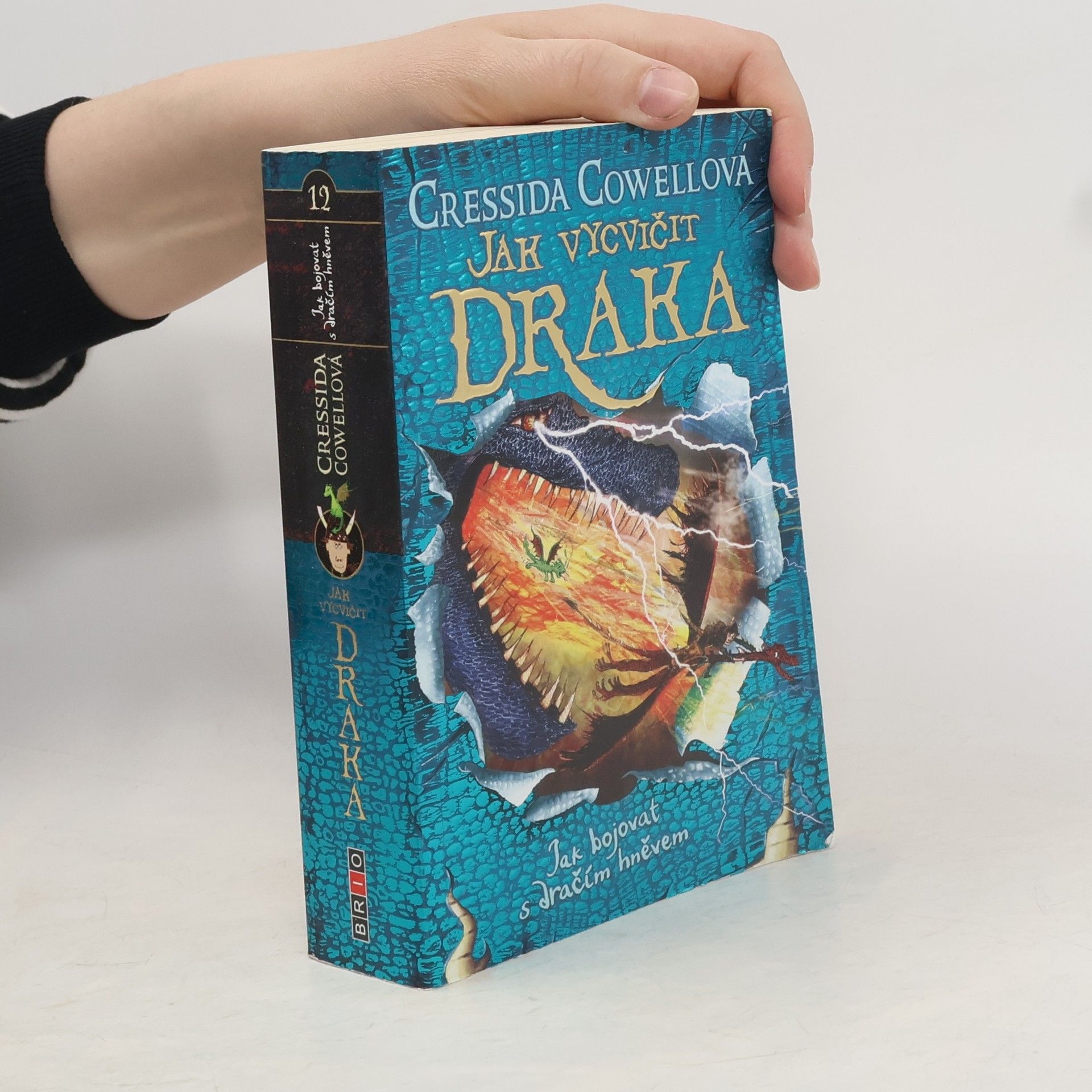 Cressida Cowell Jak bojovat s dračím hněvem