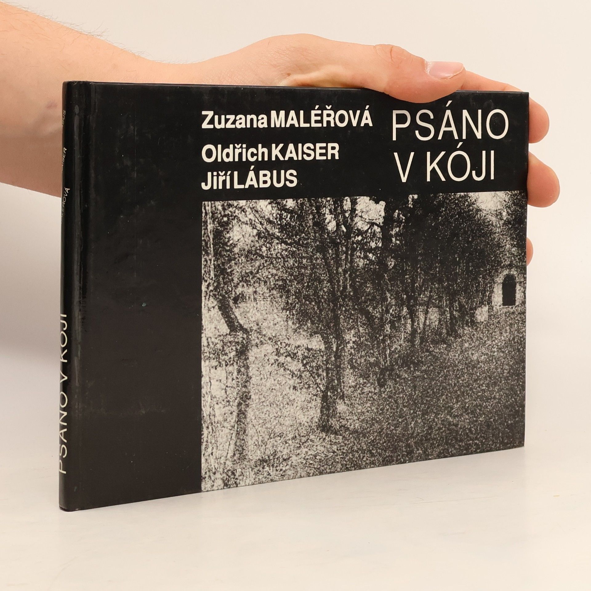 Zuzana Maléřová Psáno v kóji