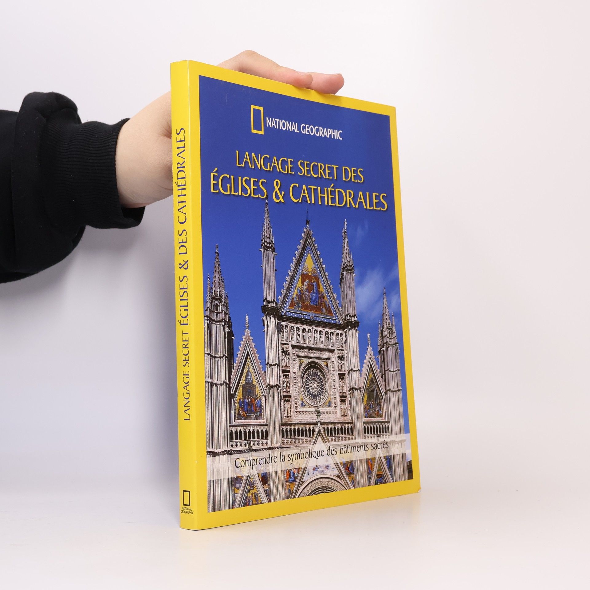 Richard Stemp Langage secret des églises & cathédrales