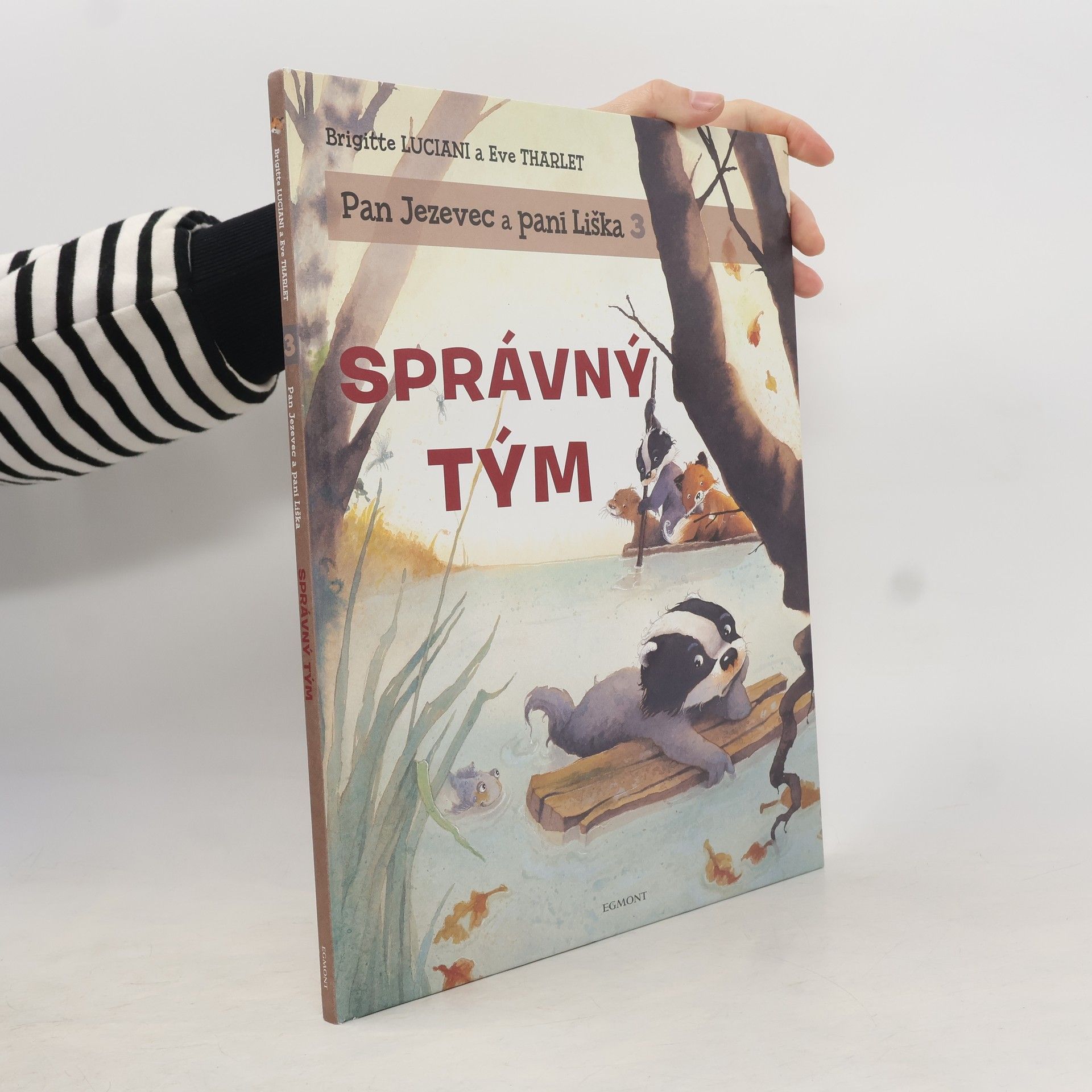 Brigitte Luciani Správný tým