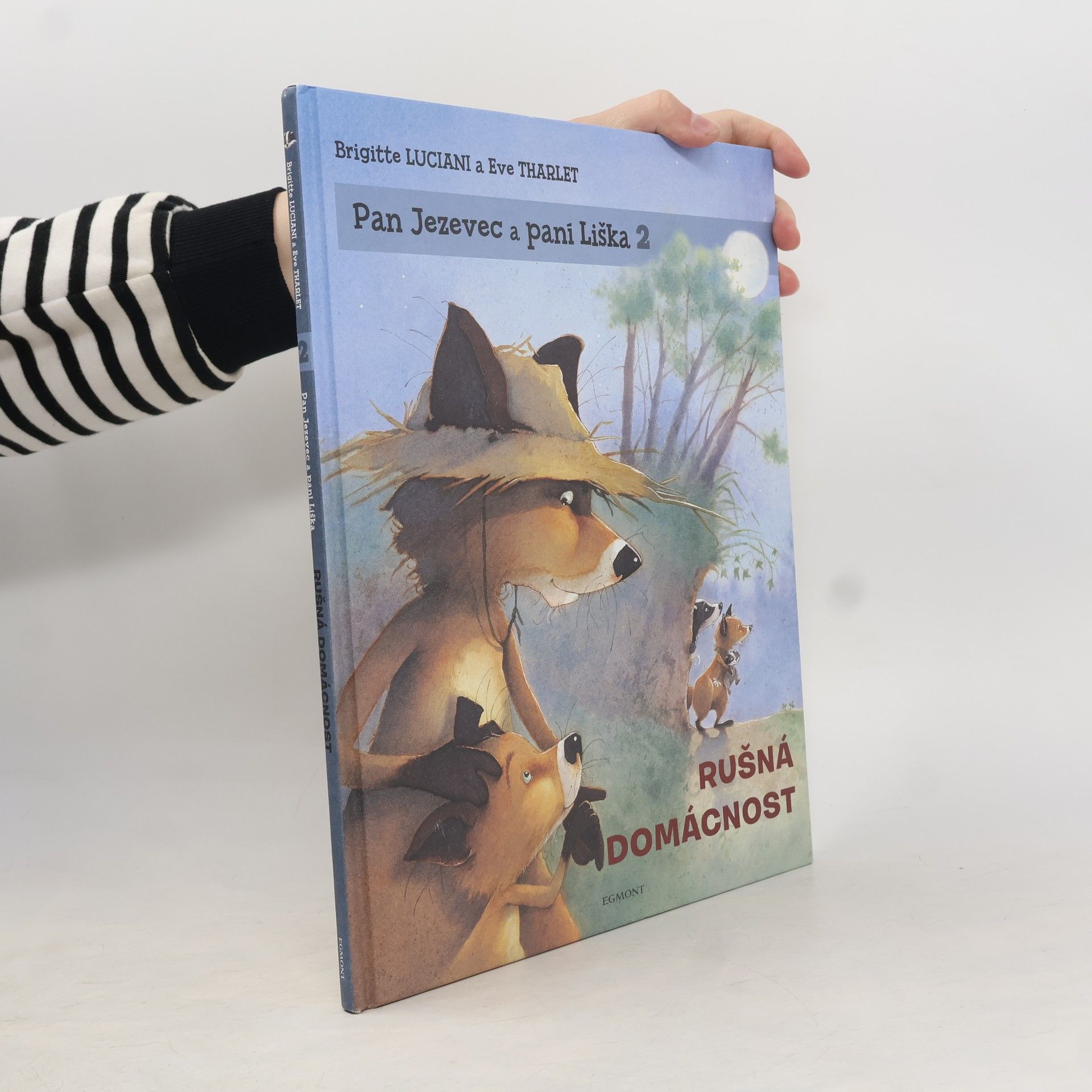 Brigitte Luciani Rušná domácnost