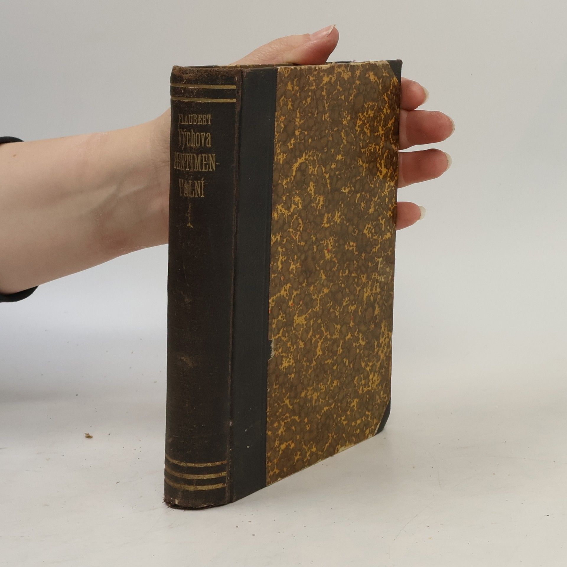 Gustave Flaubert Výchova sentimentální 1