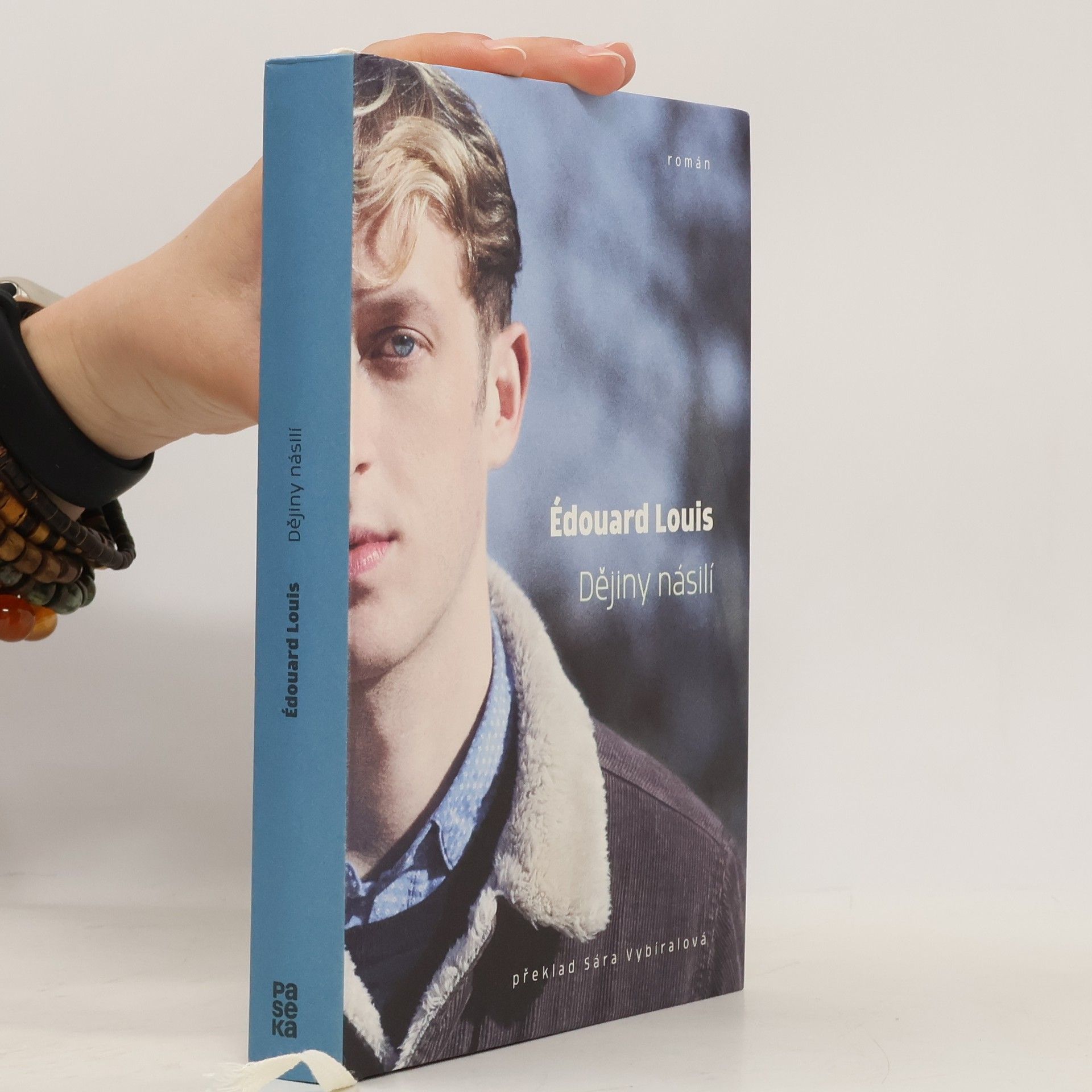 Édouard Louis Dějiny násilí