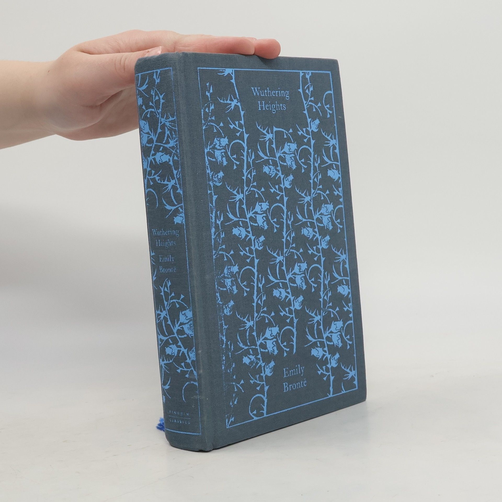 Emily Brontë Wuthering Heights