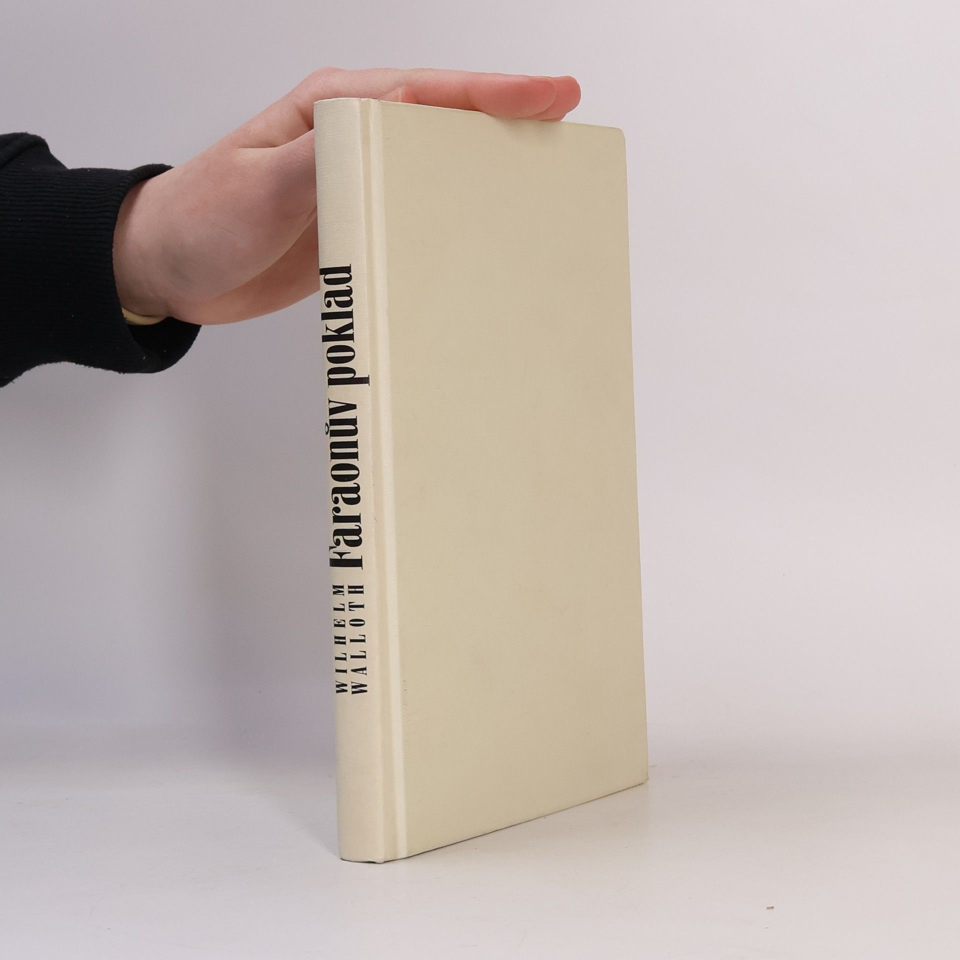 Wilhelm Walloth Faraonův poklad : román z doby Ramesse II.