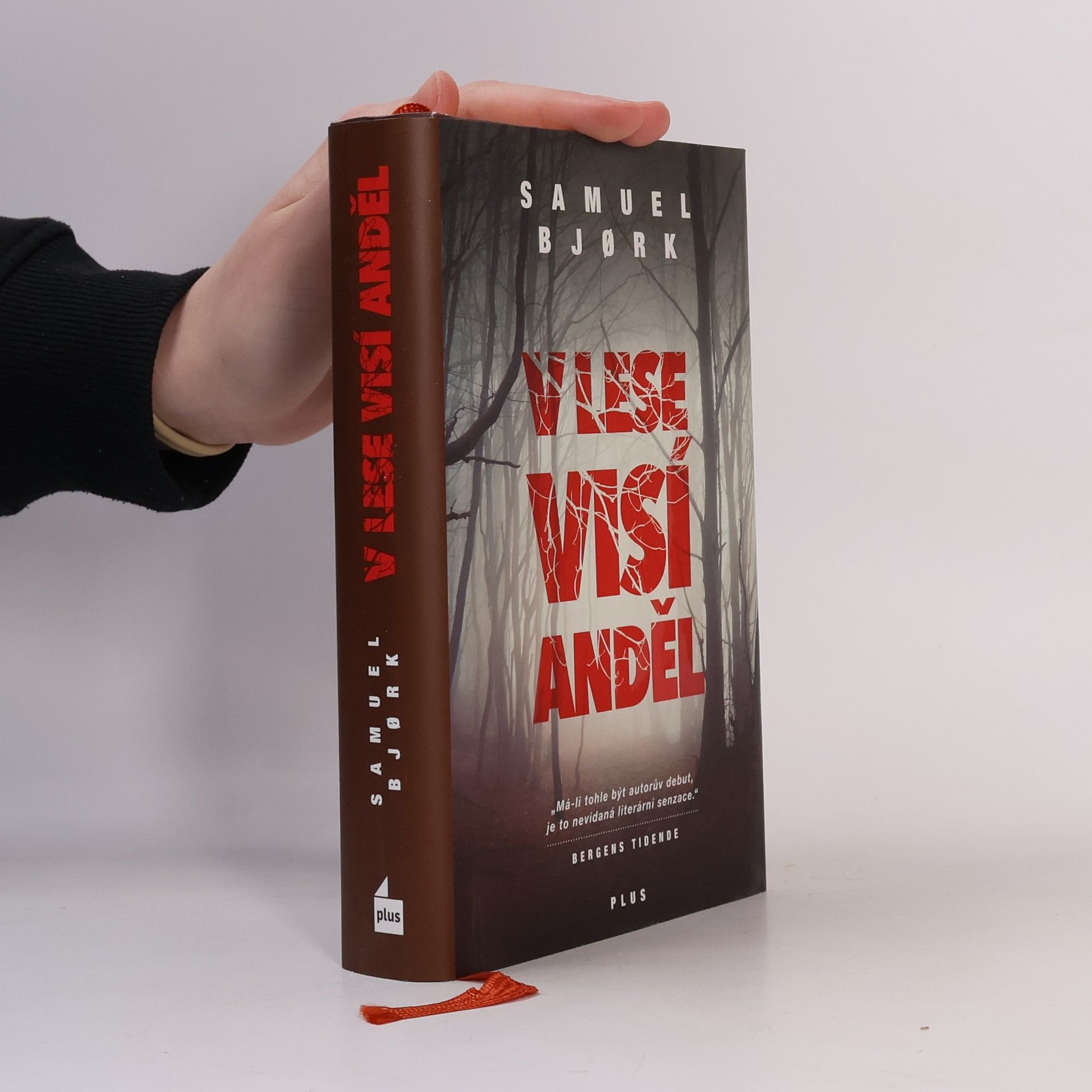 Samuel Bjork V lese visí anděl