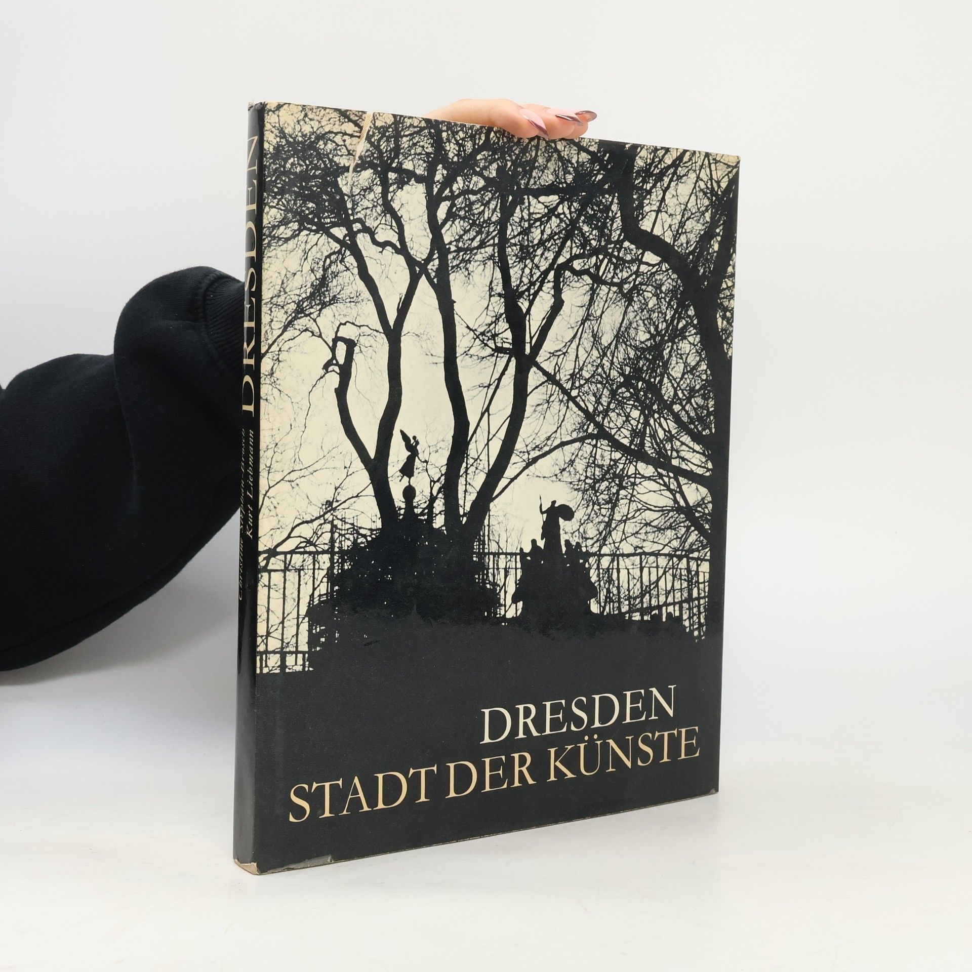 Christine Stephan-Brosch Dresden. Stadt der Künste