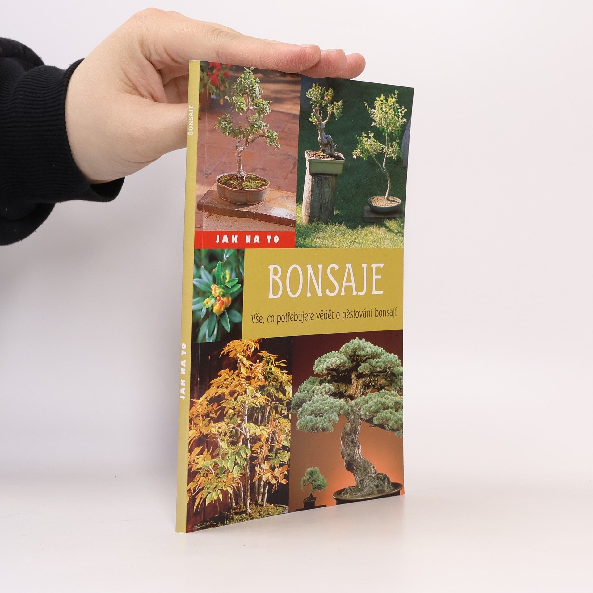 Kateřina Radilová Bonsaje