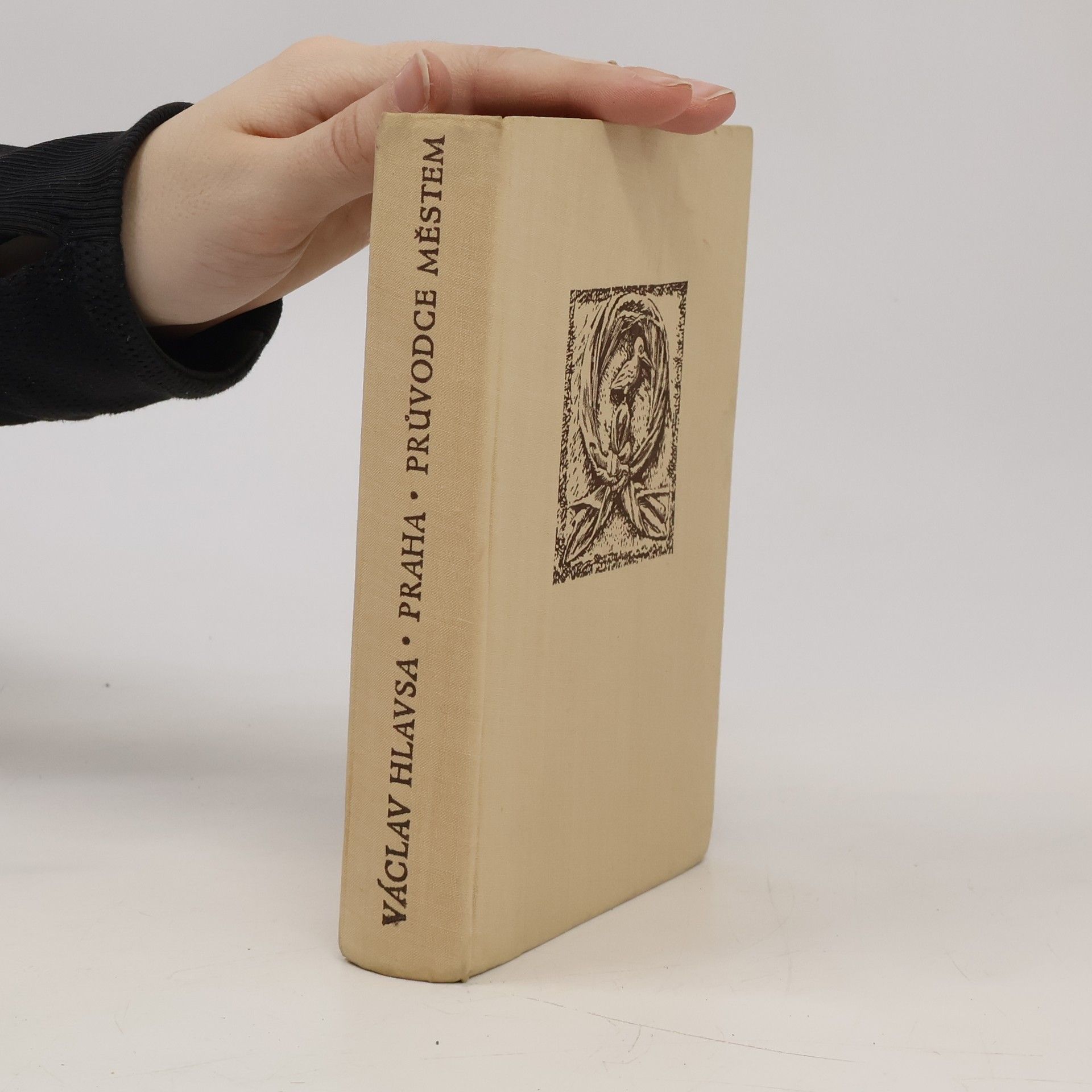 Václav Hlavsa Praha. Průvodce městem