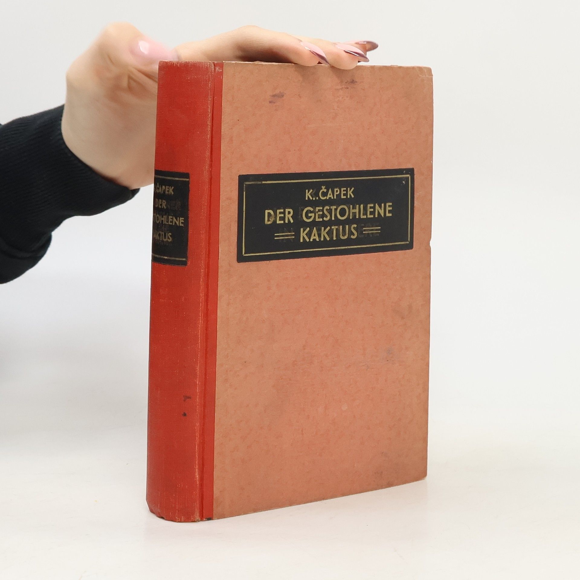 Karel Čapek Der Gestohlene Kaktus