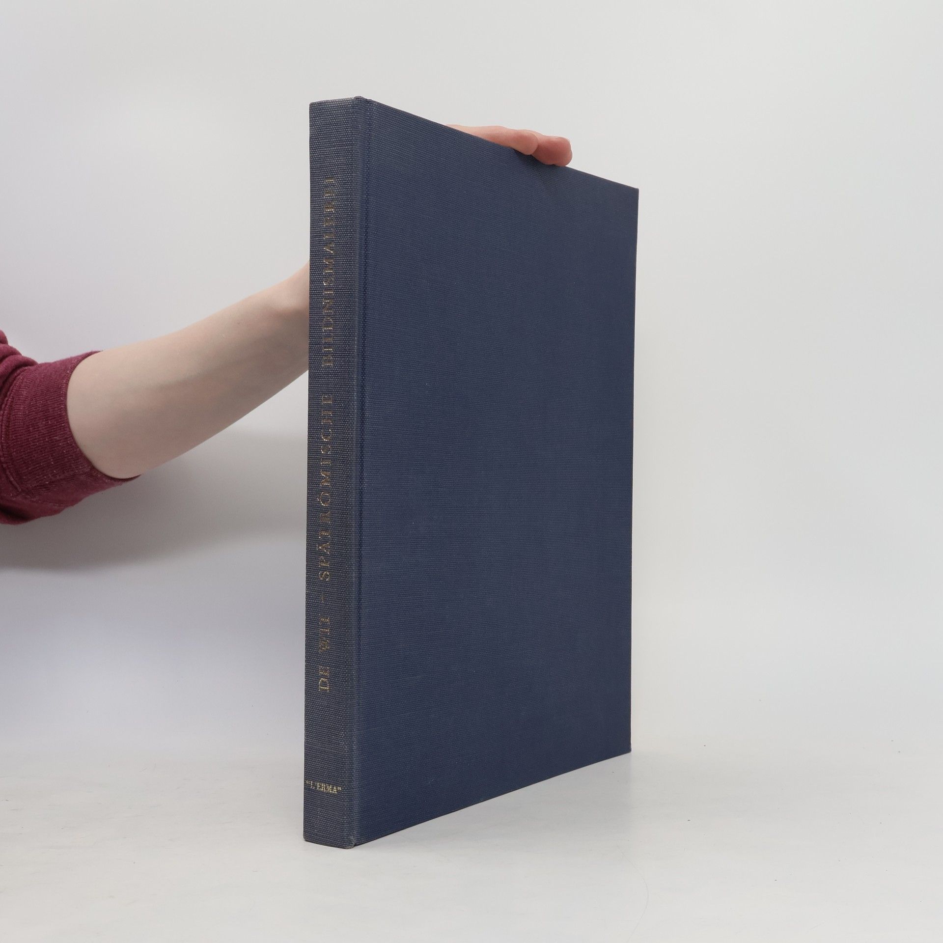 Johannes de Wit Spätrömische Bildnismalerei