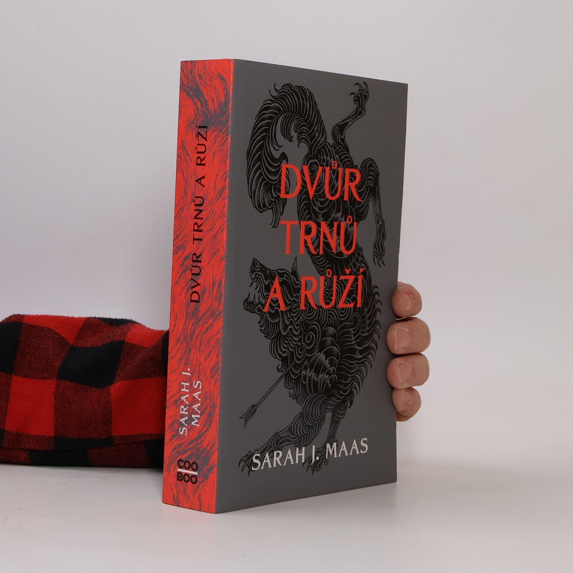 Sarah J. Maasová Dvůr trnů a růží